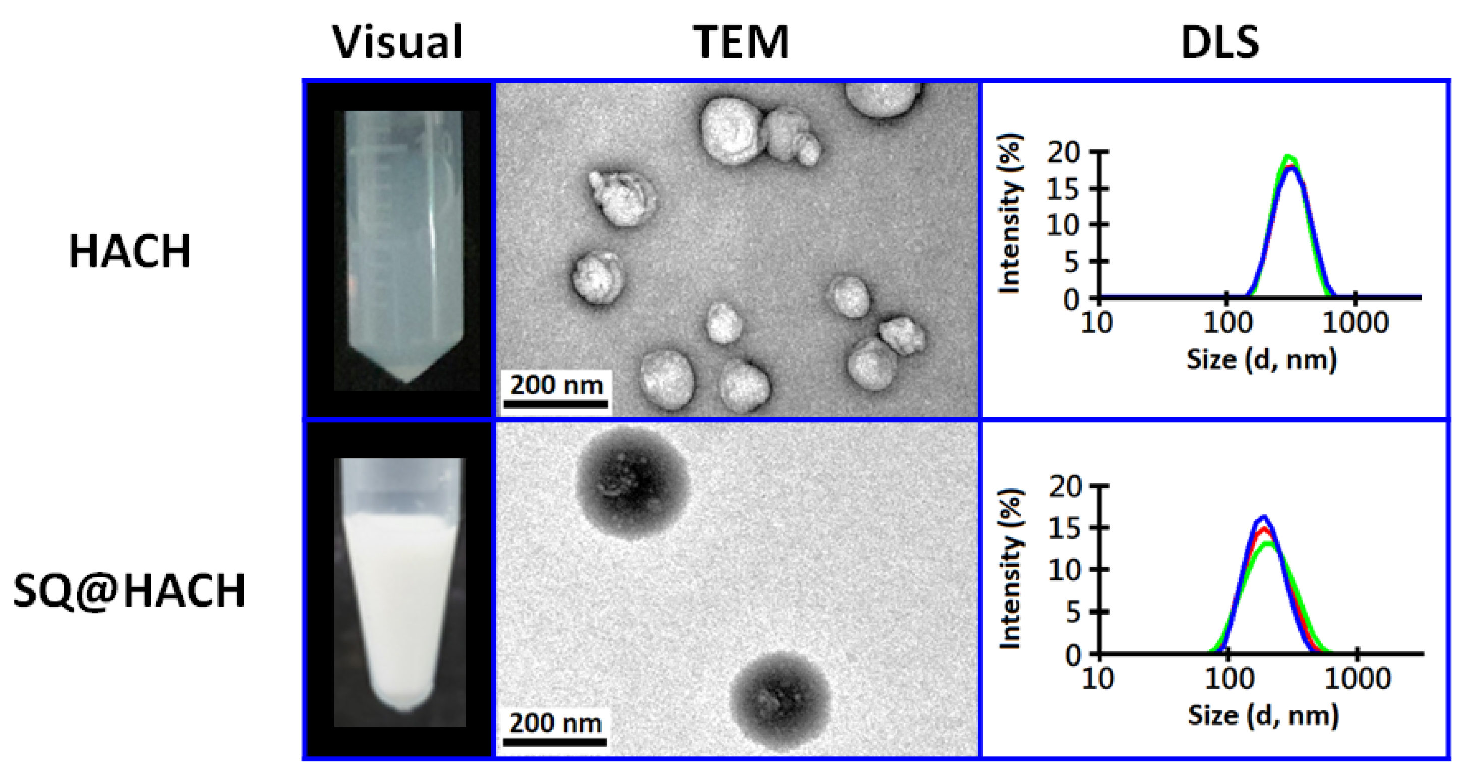 Pharmaceutics 13 01569 g002
