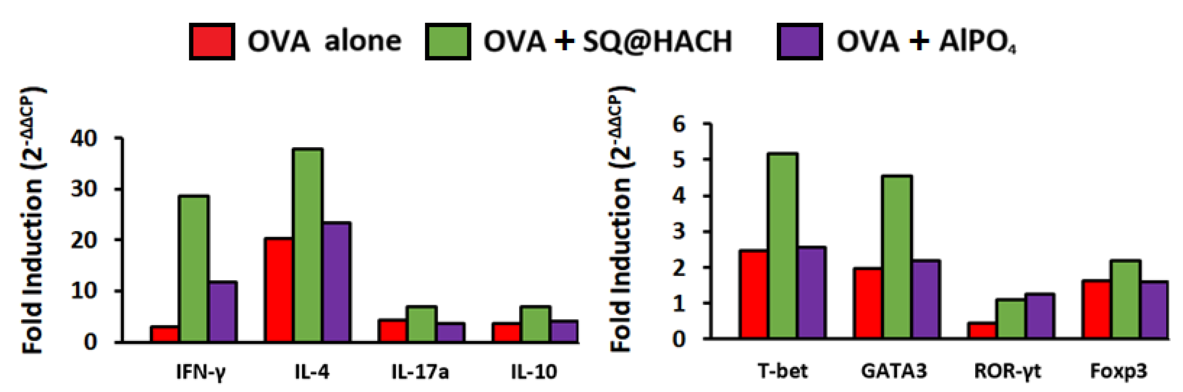 Pharmaceutics 13 01569 g006
