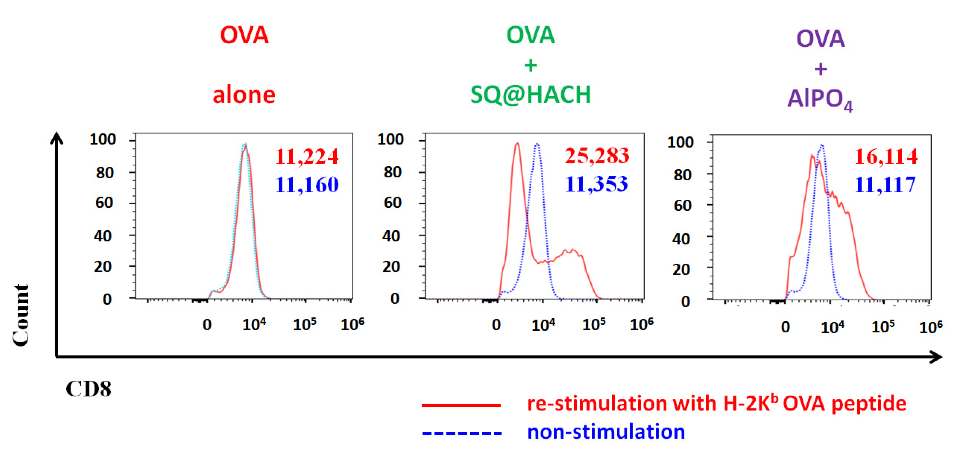 Pharmaceutics 13 01569 g007
