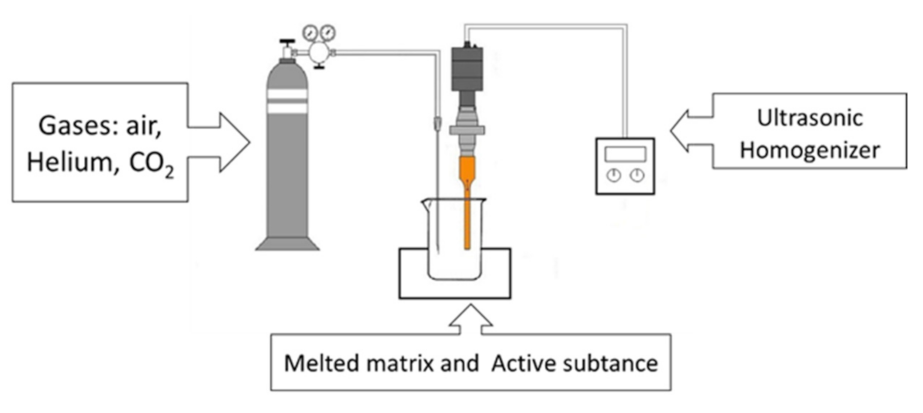 Pharmaceutics 13 01571 g001