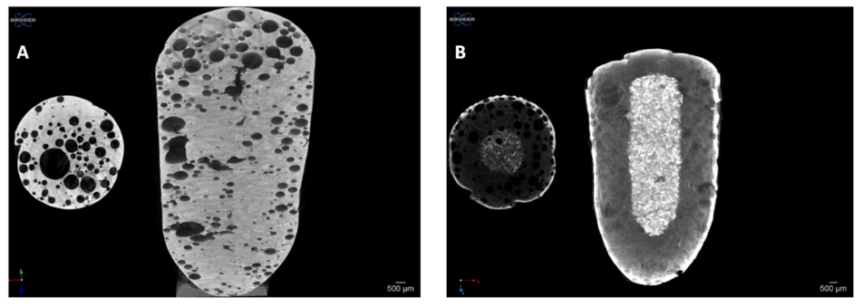 Pharmaceutics 13 01571 g011