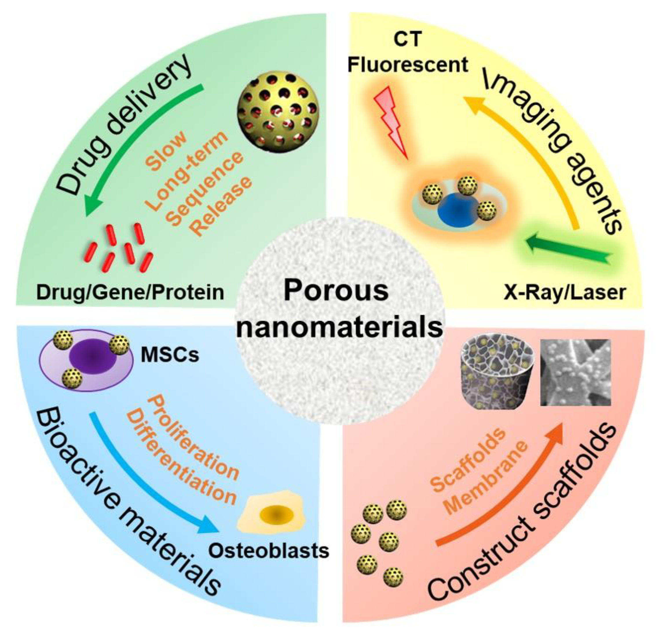 Pharmaceutics 13 01572 g001
