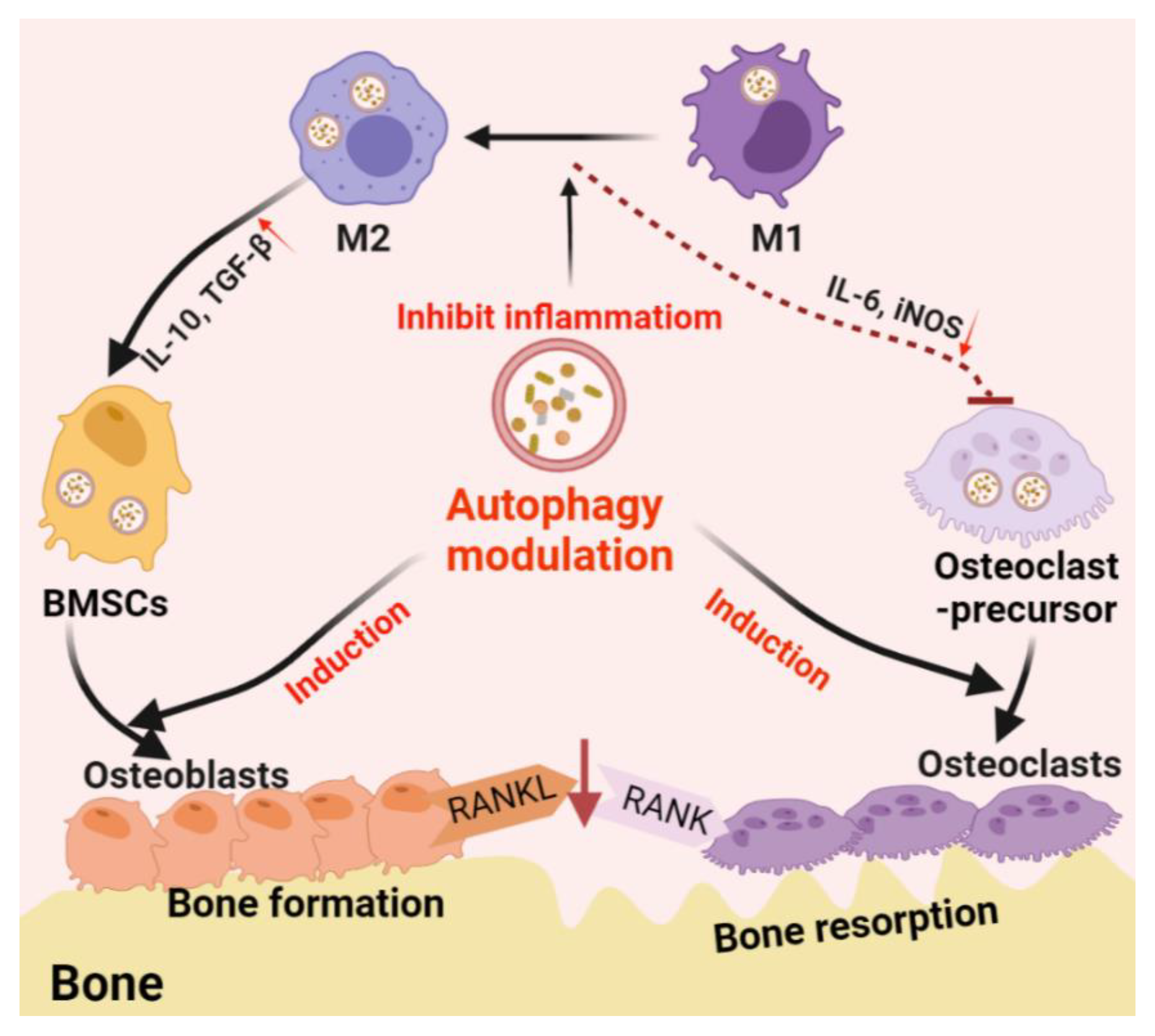 Pharmaceutics 13 01572 g002