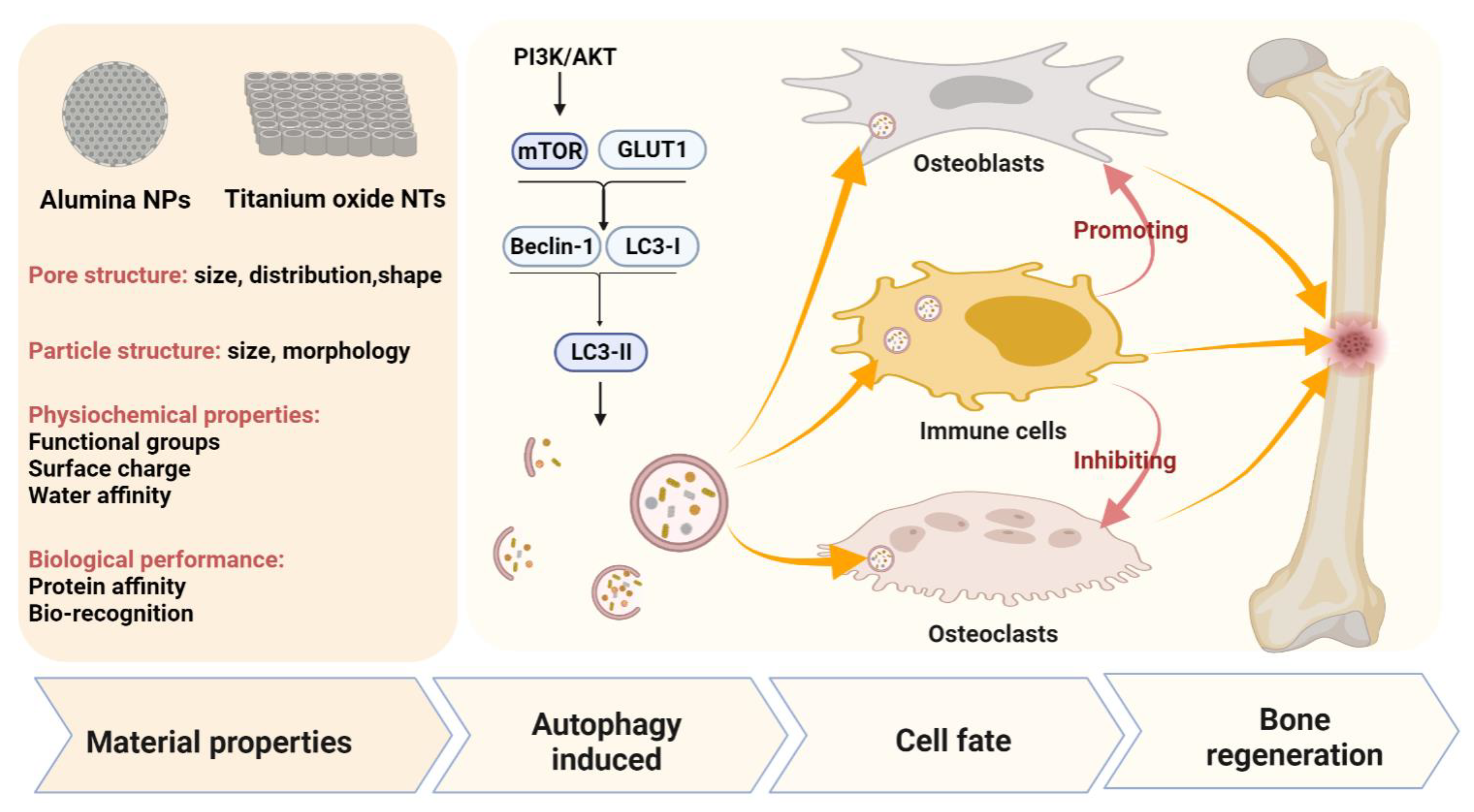Pharmaceutics 13 01572 g005