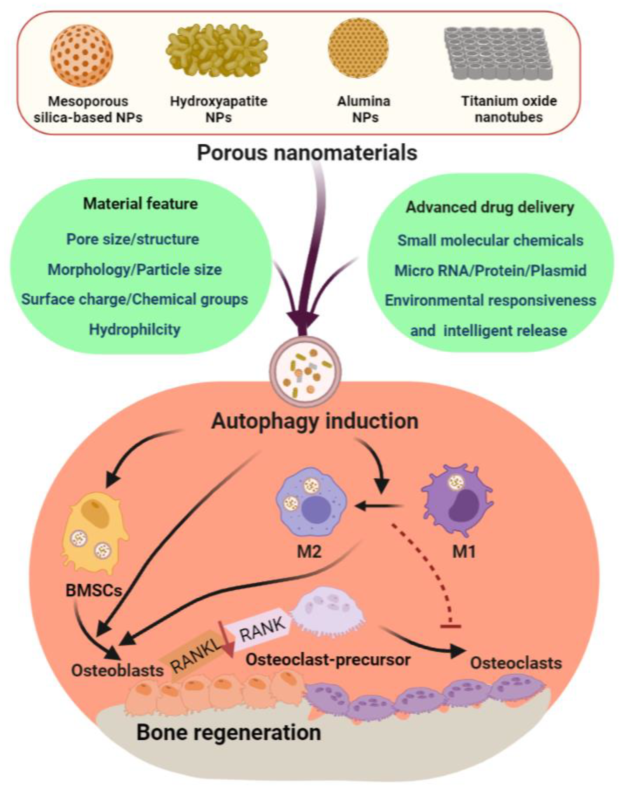 Pharmaceutics 13 01572 g006