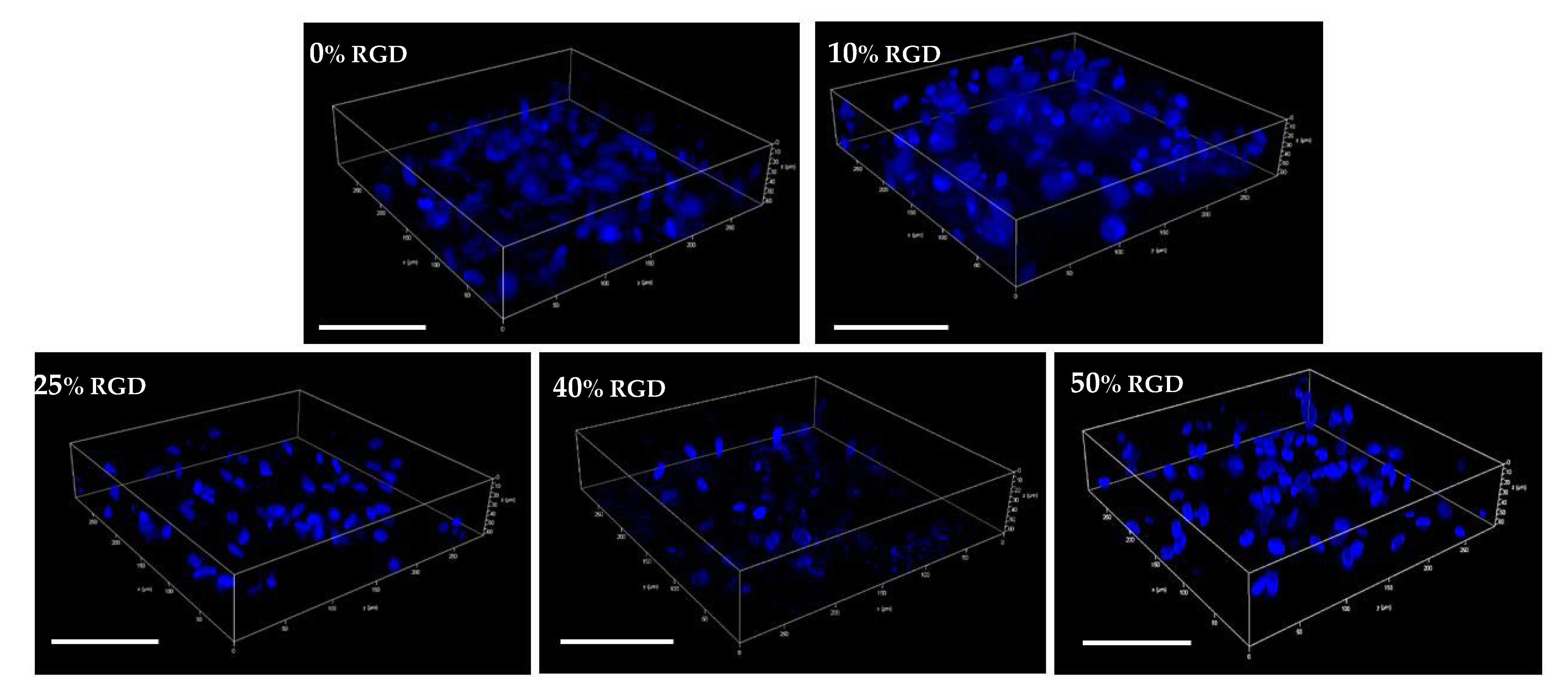 Pharmaceutics 13 01575 g002 550