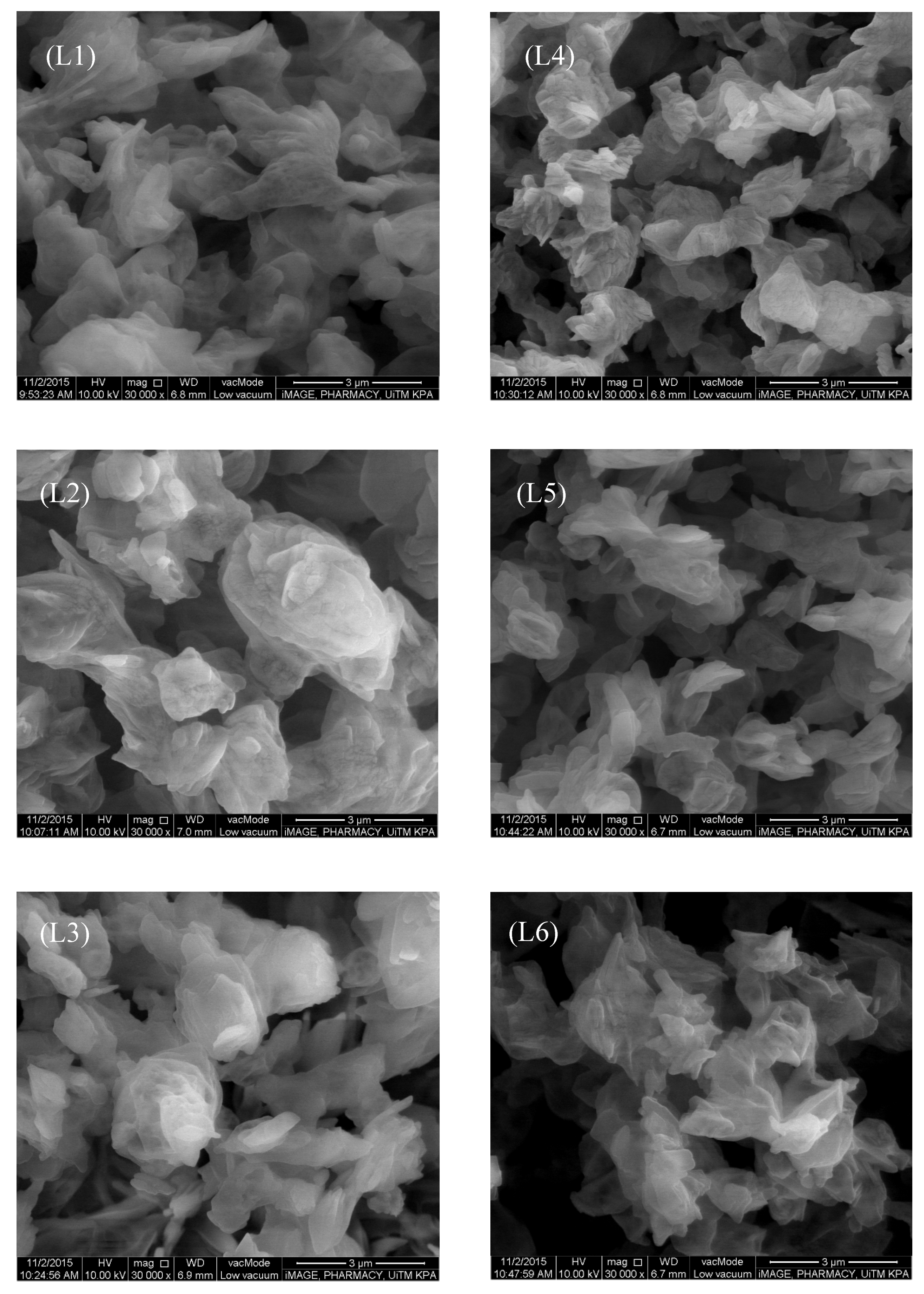 Pharmaceutics 13 01581 g001 Pharmaceutics 13 01581 g001