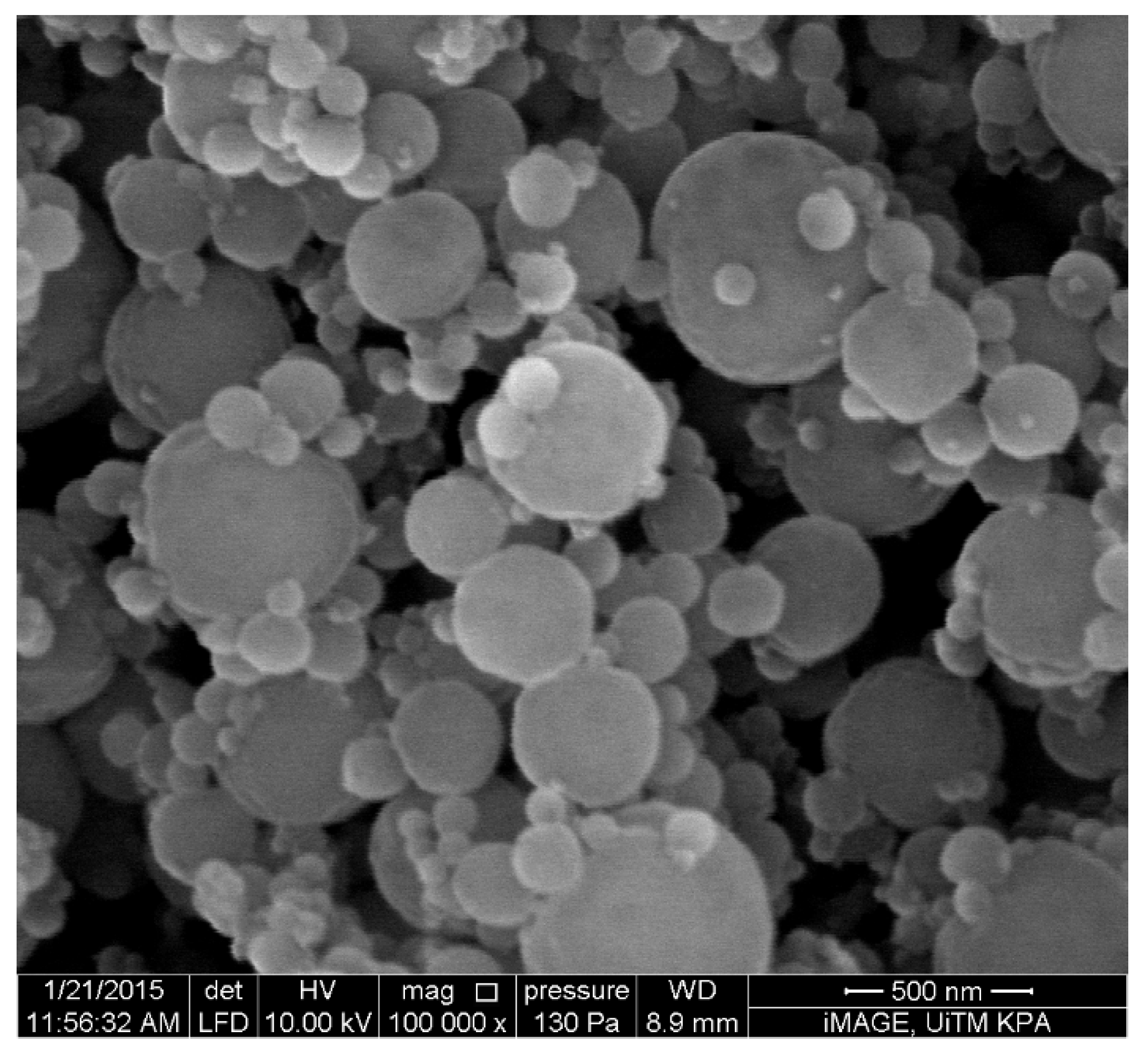 Pharmaceutics 13 01581 g003 Pharmaceutics 13 01581 g003