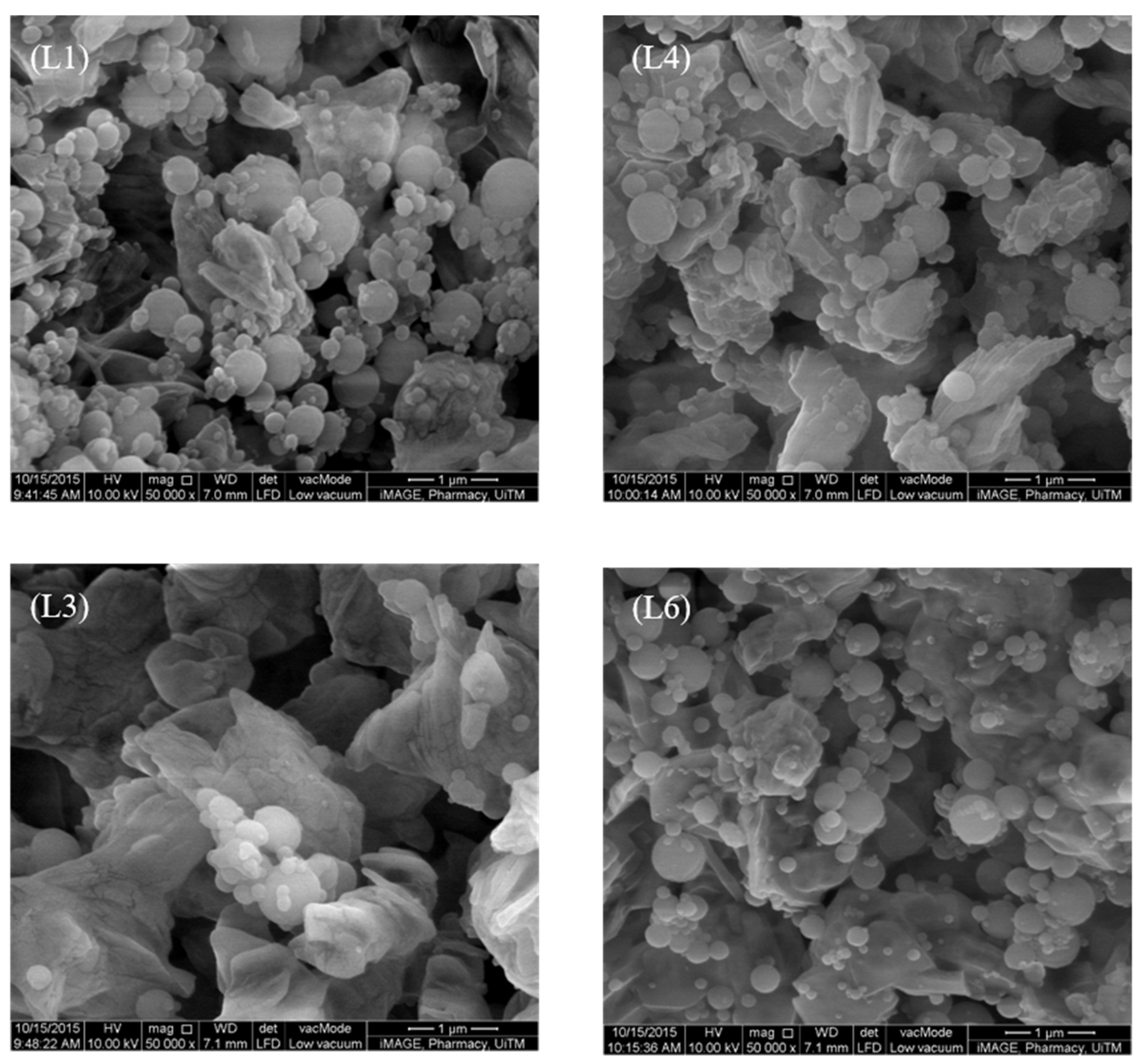 Pharmaceutics 13 01581 g004 Pharmaceutics 13 01581 g004