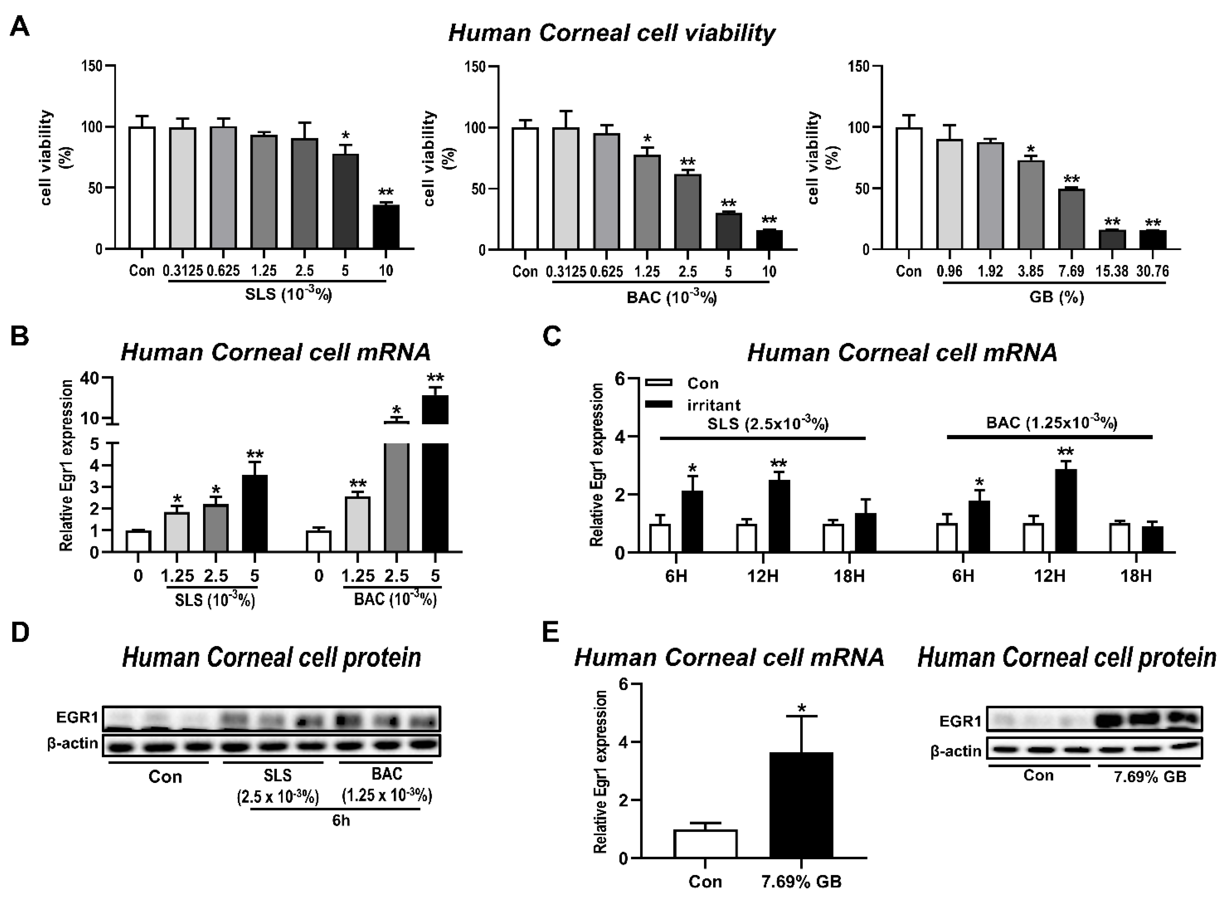 Pharmaceutics 13 01584 g003