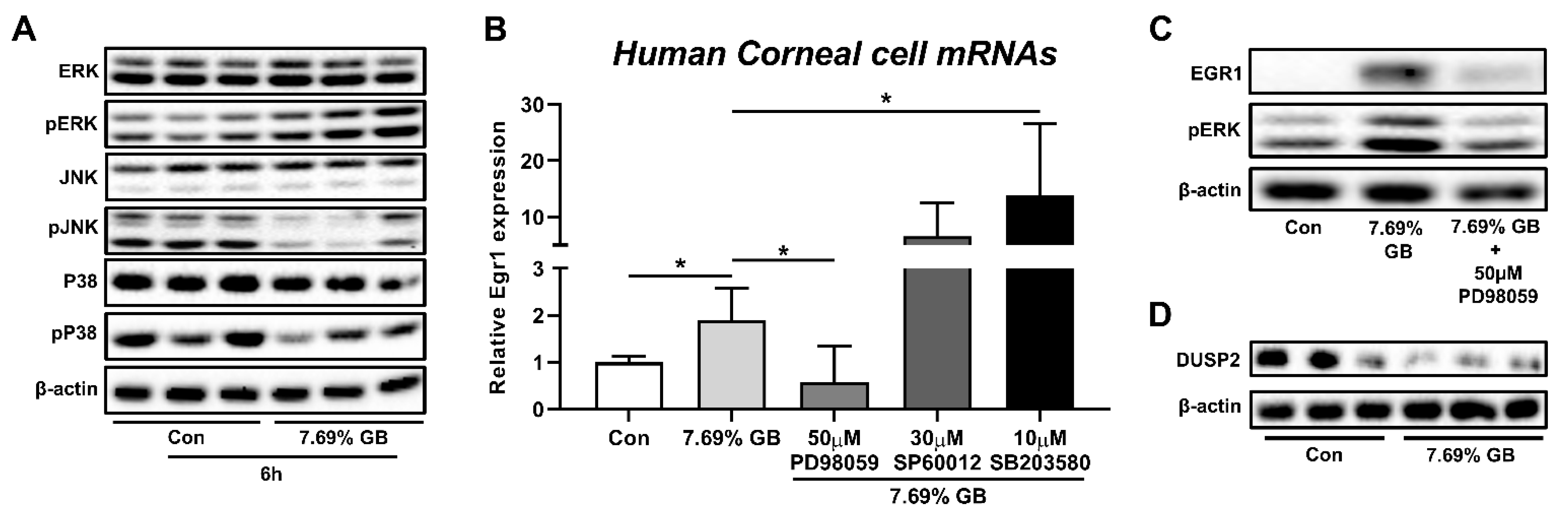 Pharmaceutics 13 01584 g004