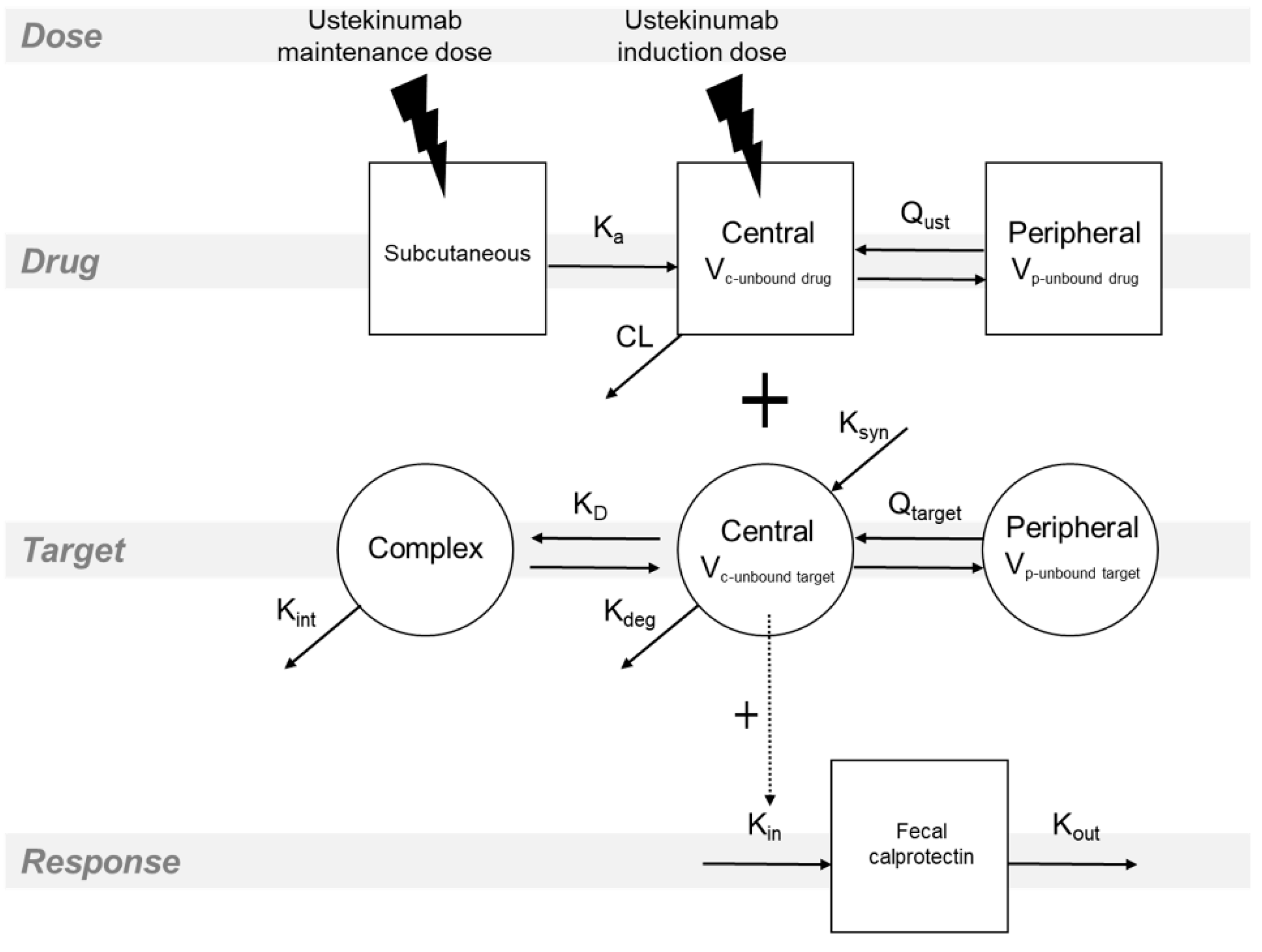 Pharmaceutics 13 01587 g001