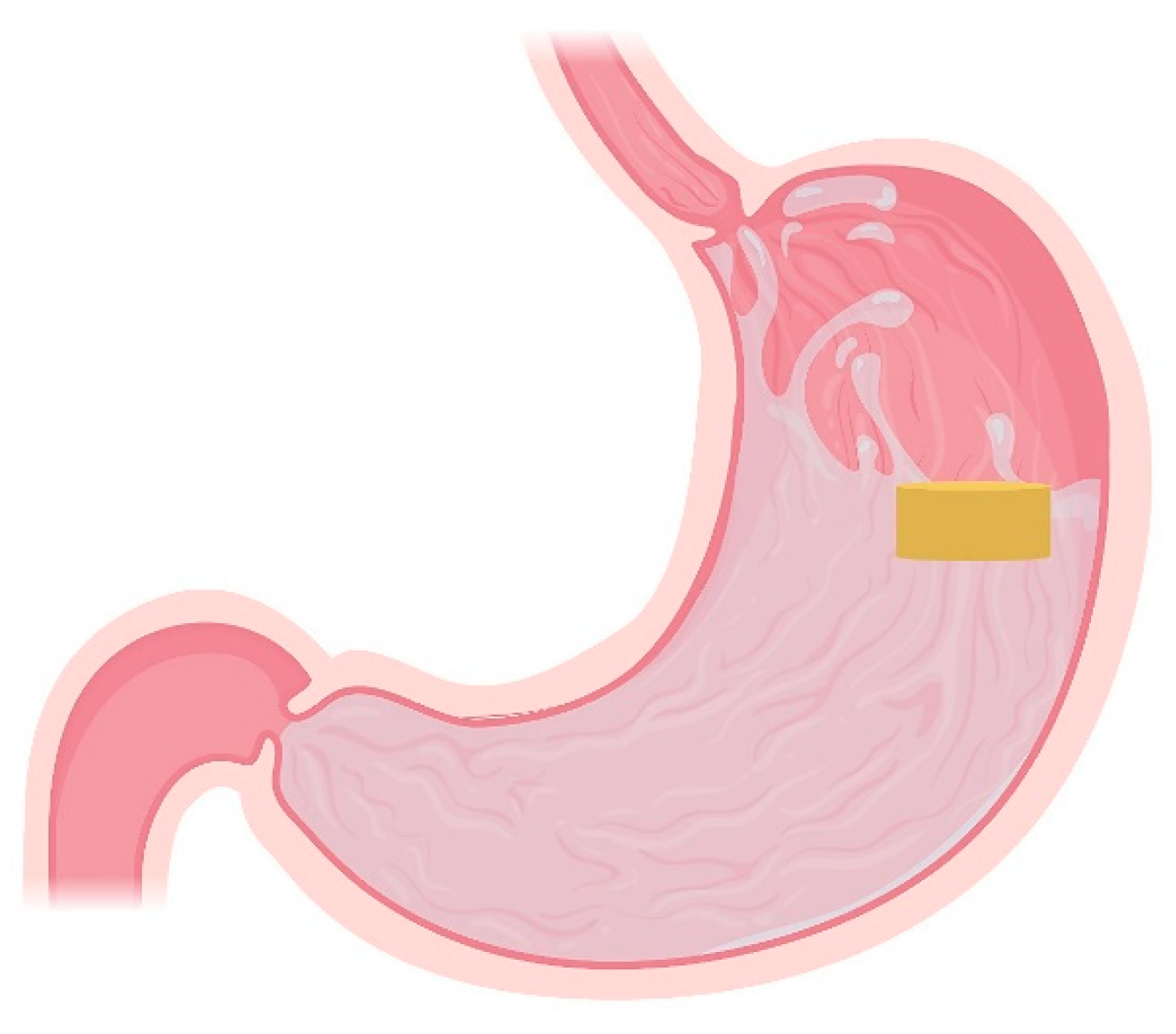 Pharmaceutics 13 01591 g002 Pharmaceutics 13 01591 g002