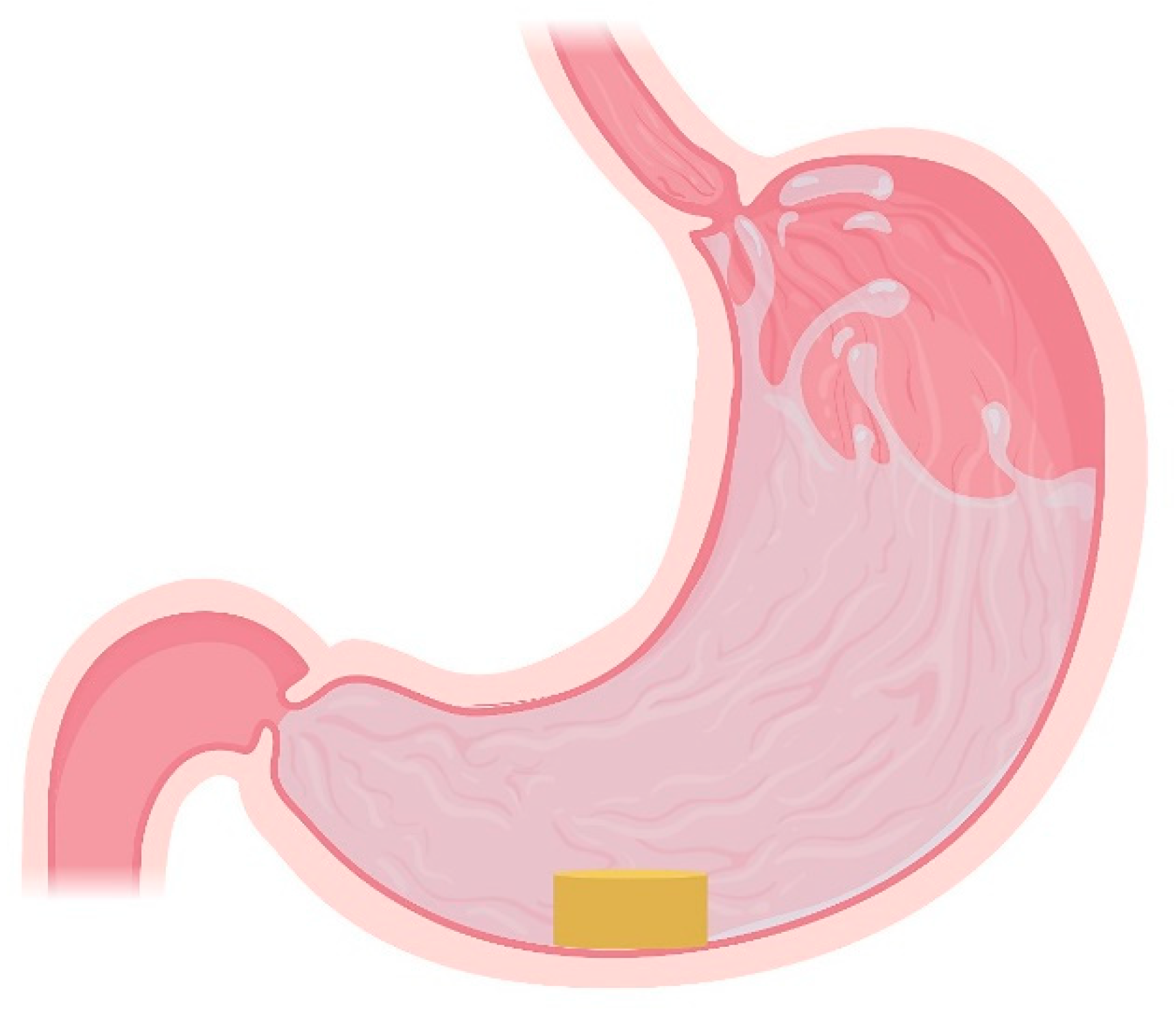 Pharmaceutics 13 01591 g005 Pharmaceutics 13 01591 g005