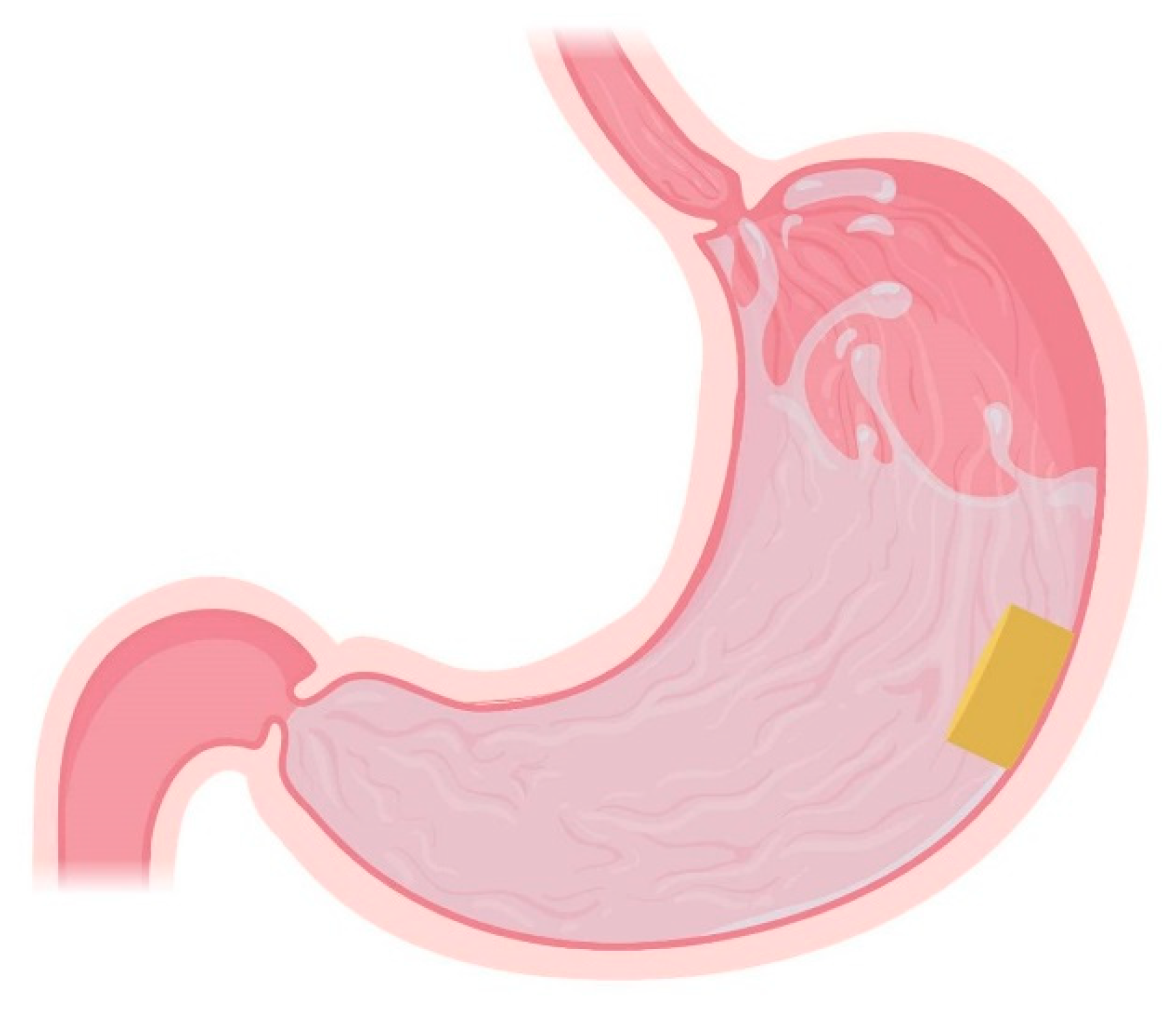 Pharmaceutics 13 01591 g006 Pharmaceutics 13 01591 g006