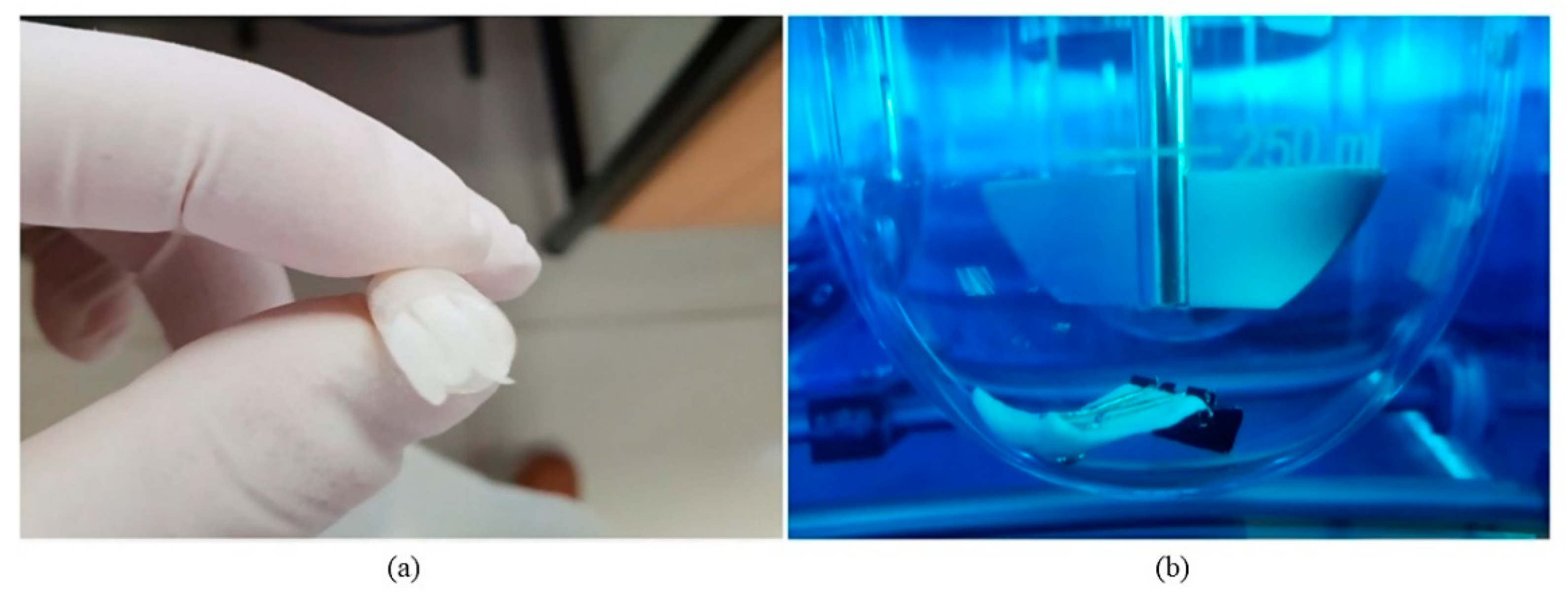 Pharmaceutics 13 01591 g007 Pharmaceutics 13 01591 g007