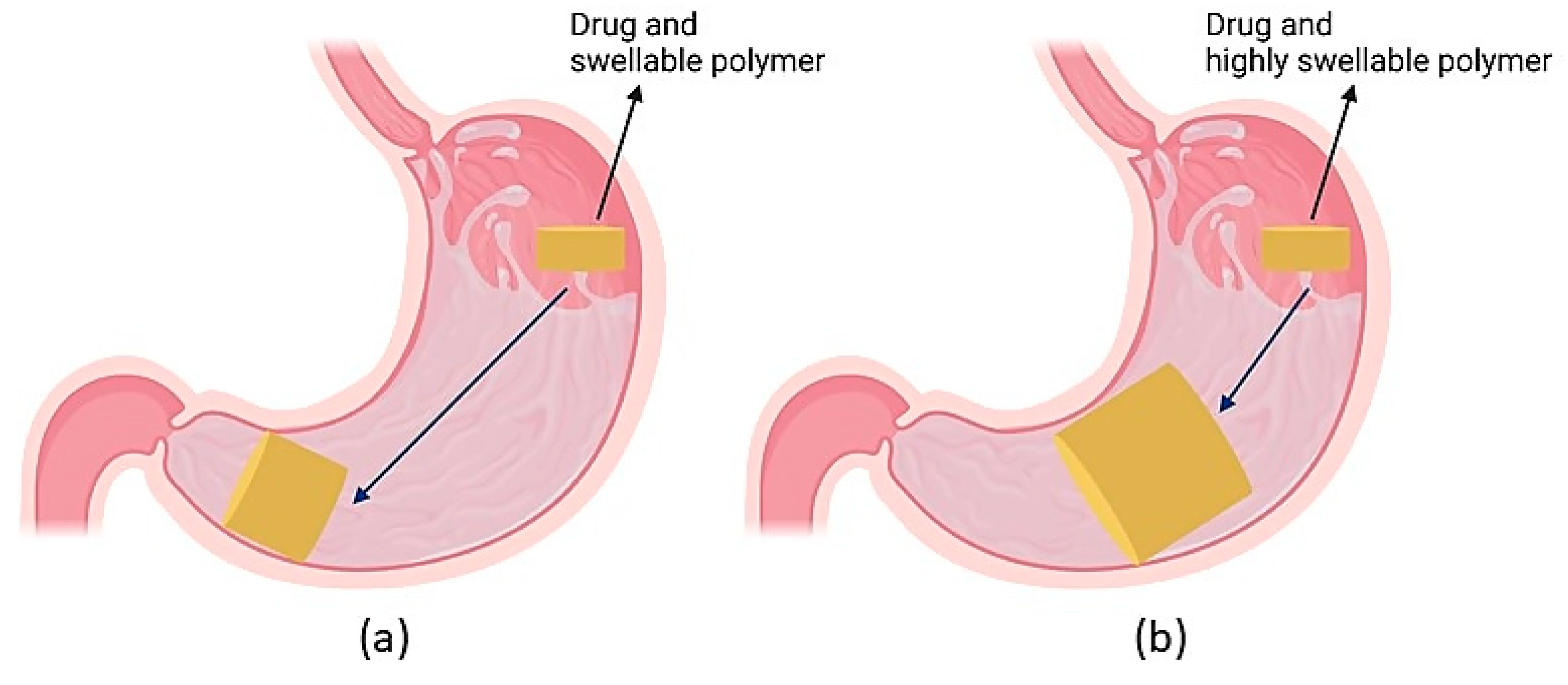 Pharmaceutics 13 01591 g009 Pharmaceutics 13 01591 g009