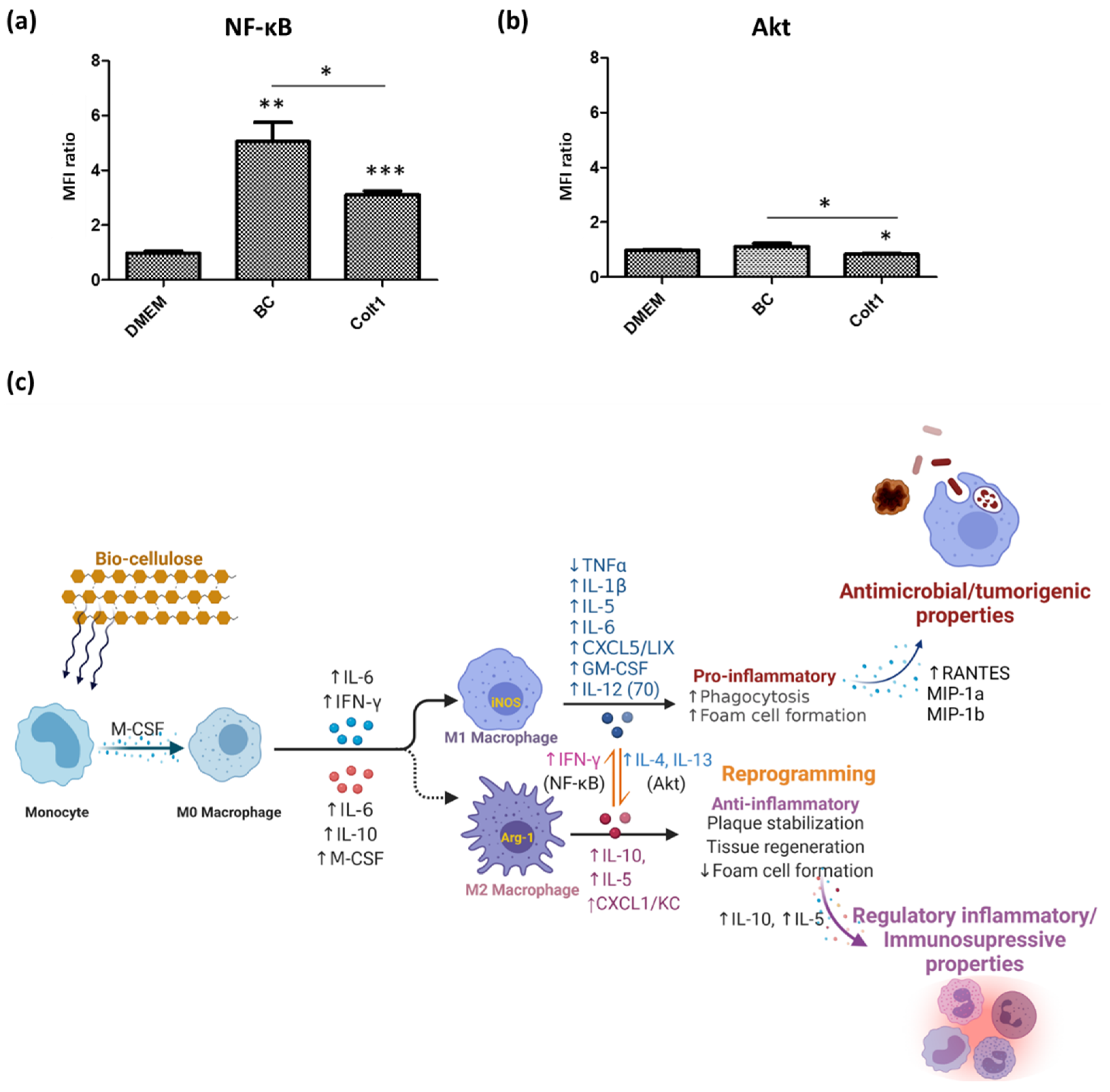 Pharmaceutics 13 01592 g010