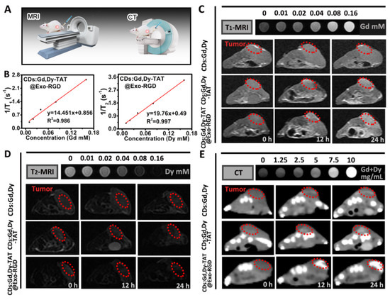 ムー Engineered Exosomes-Based Photothermal Therapy with MRI/CT