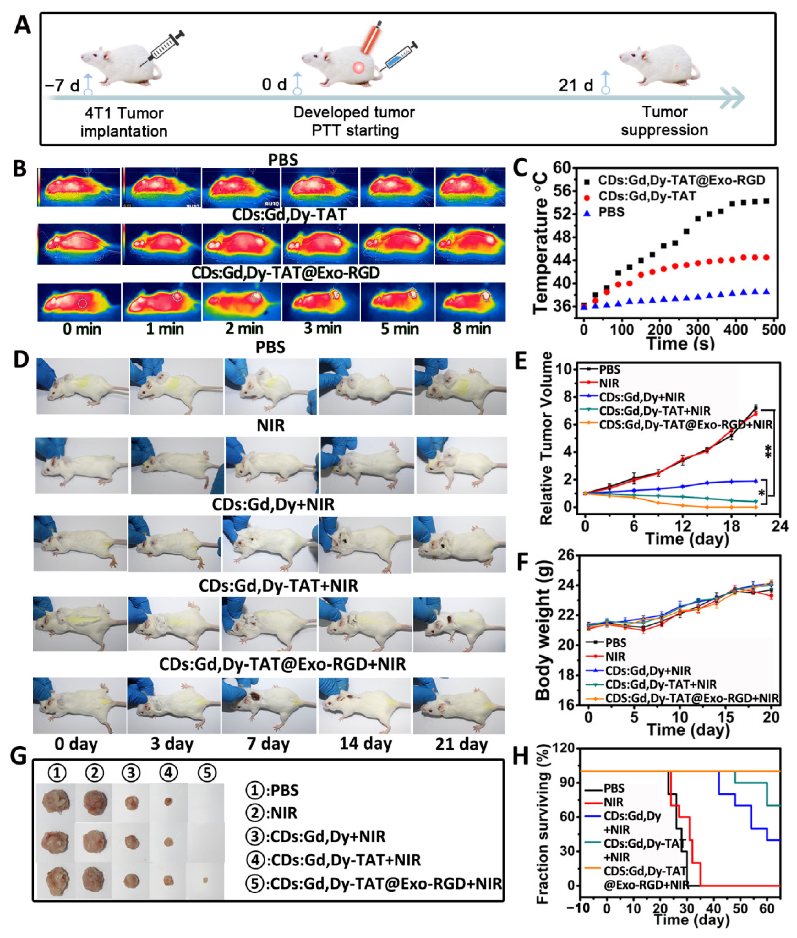 Pharmaceutics 13 01593 g006 550