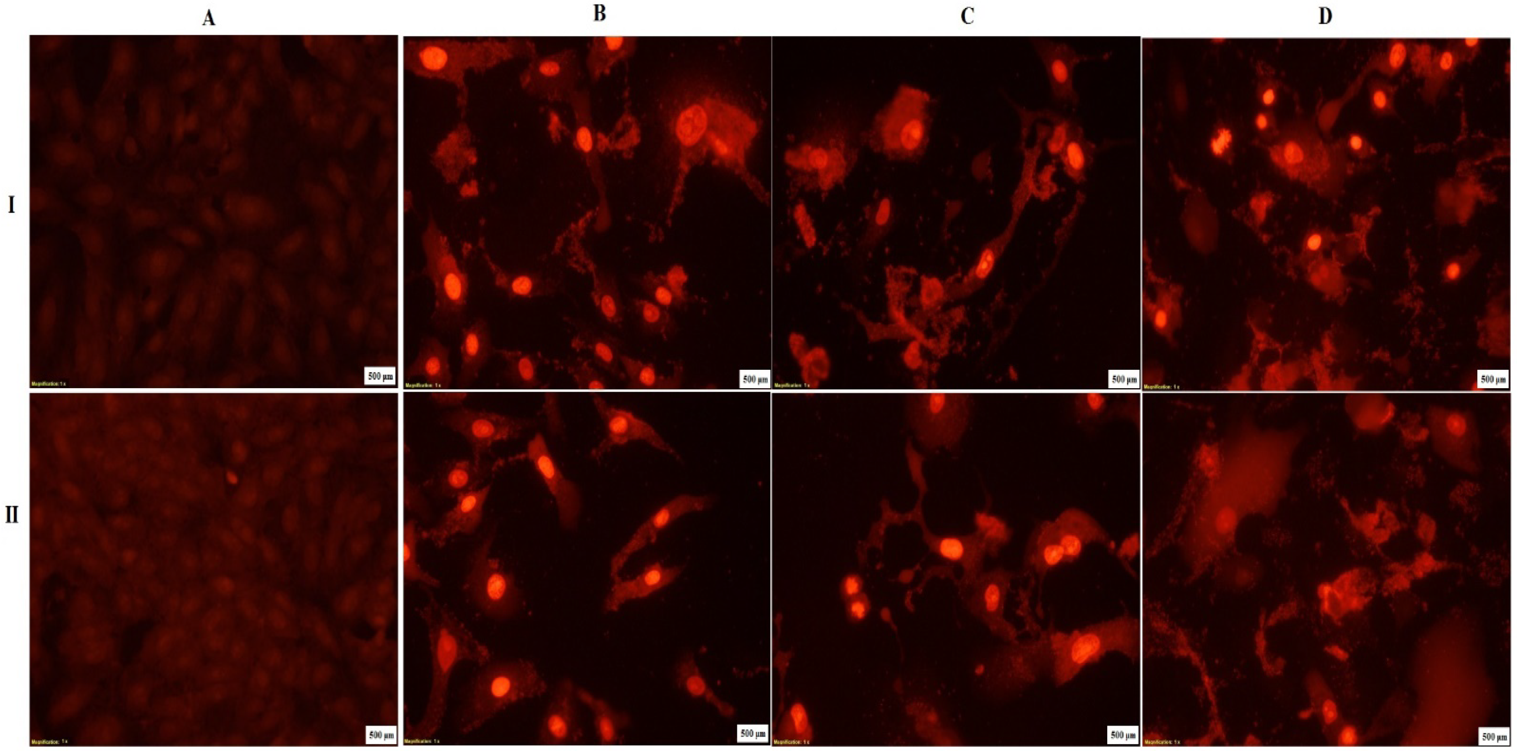Pharmaceutics 13 01595 g006 550