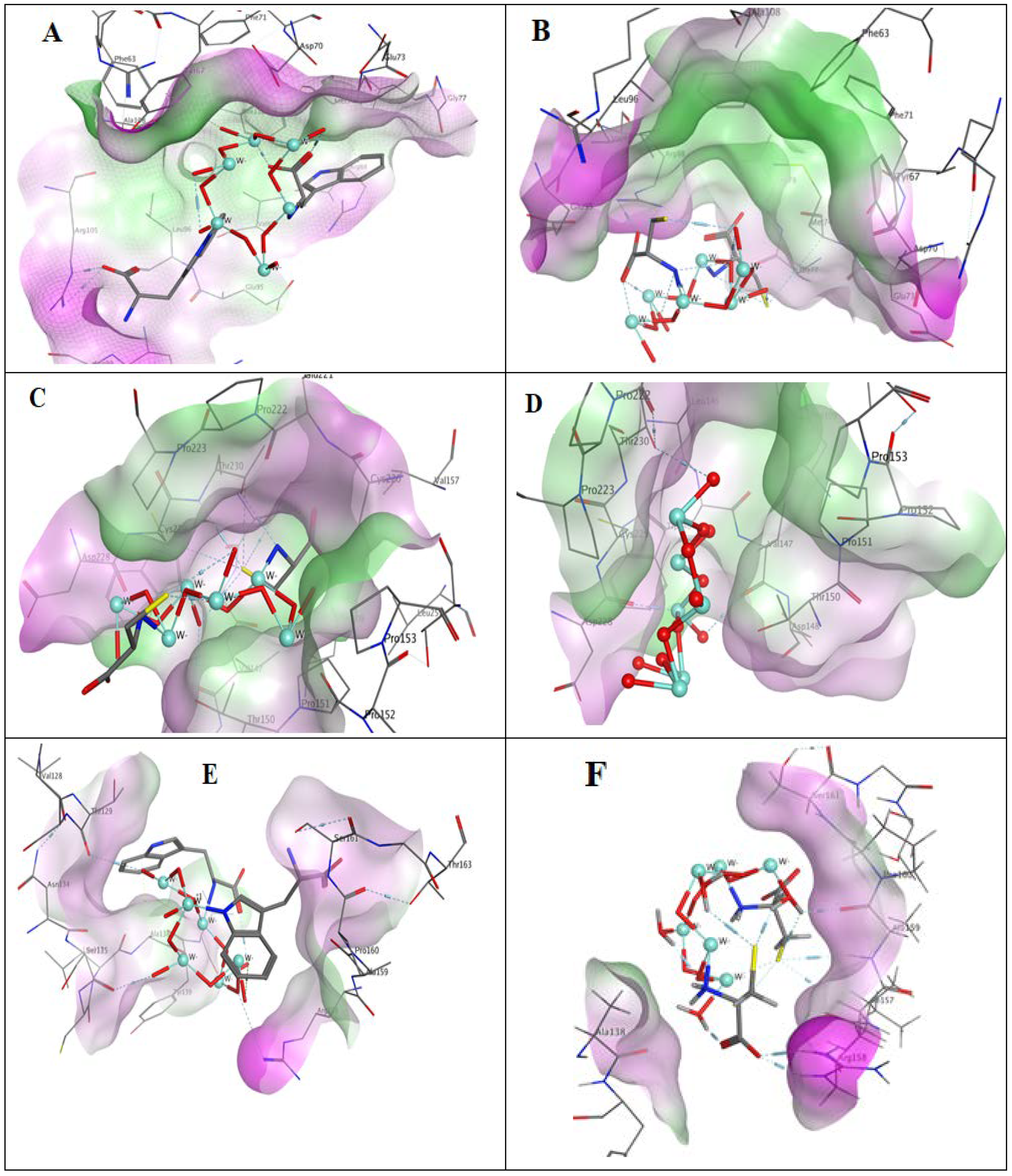 Pharmaceutics 13 01595 g008 550