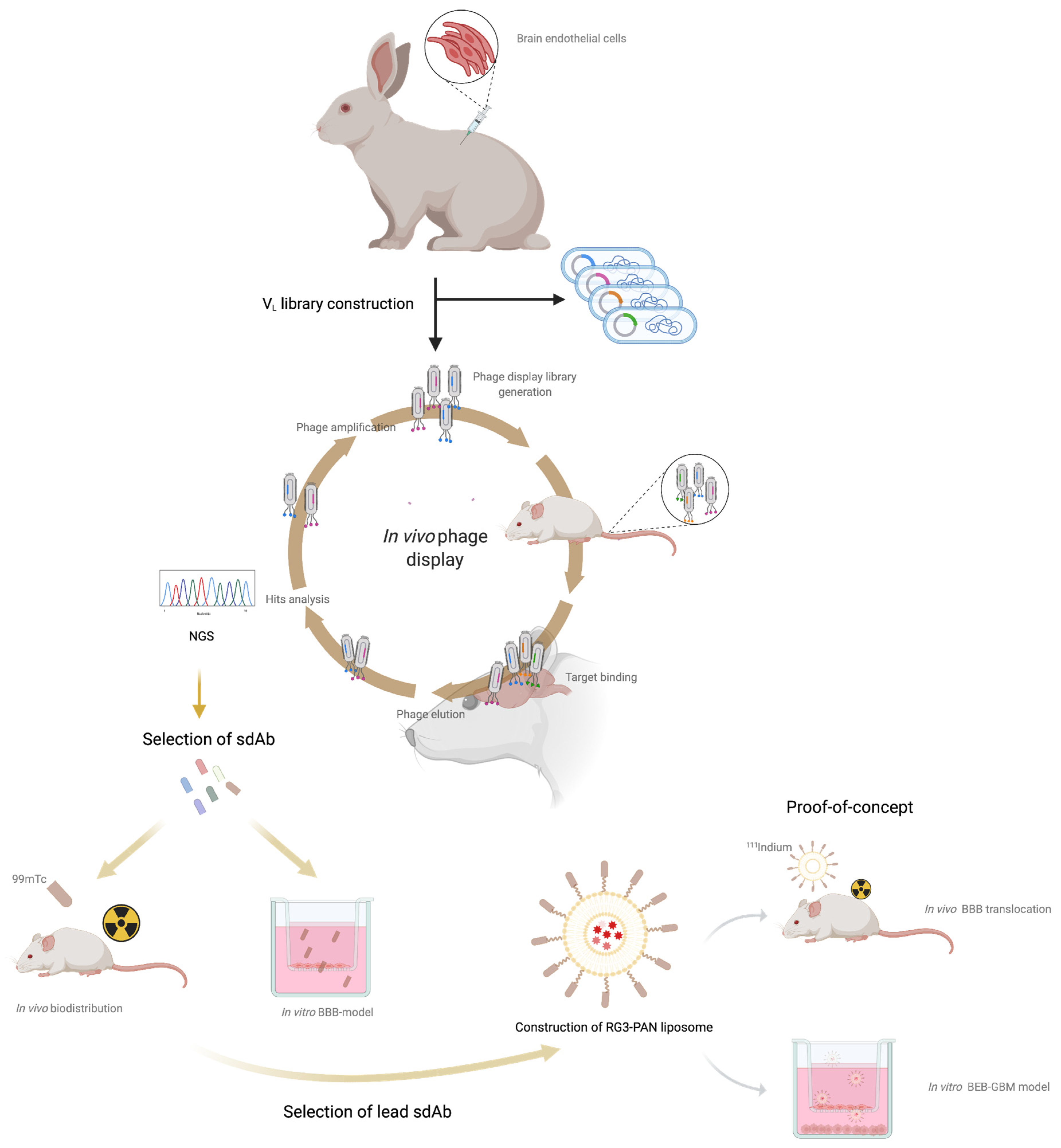 Pharmaceutics 13 01598 g001