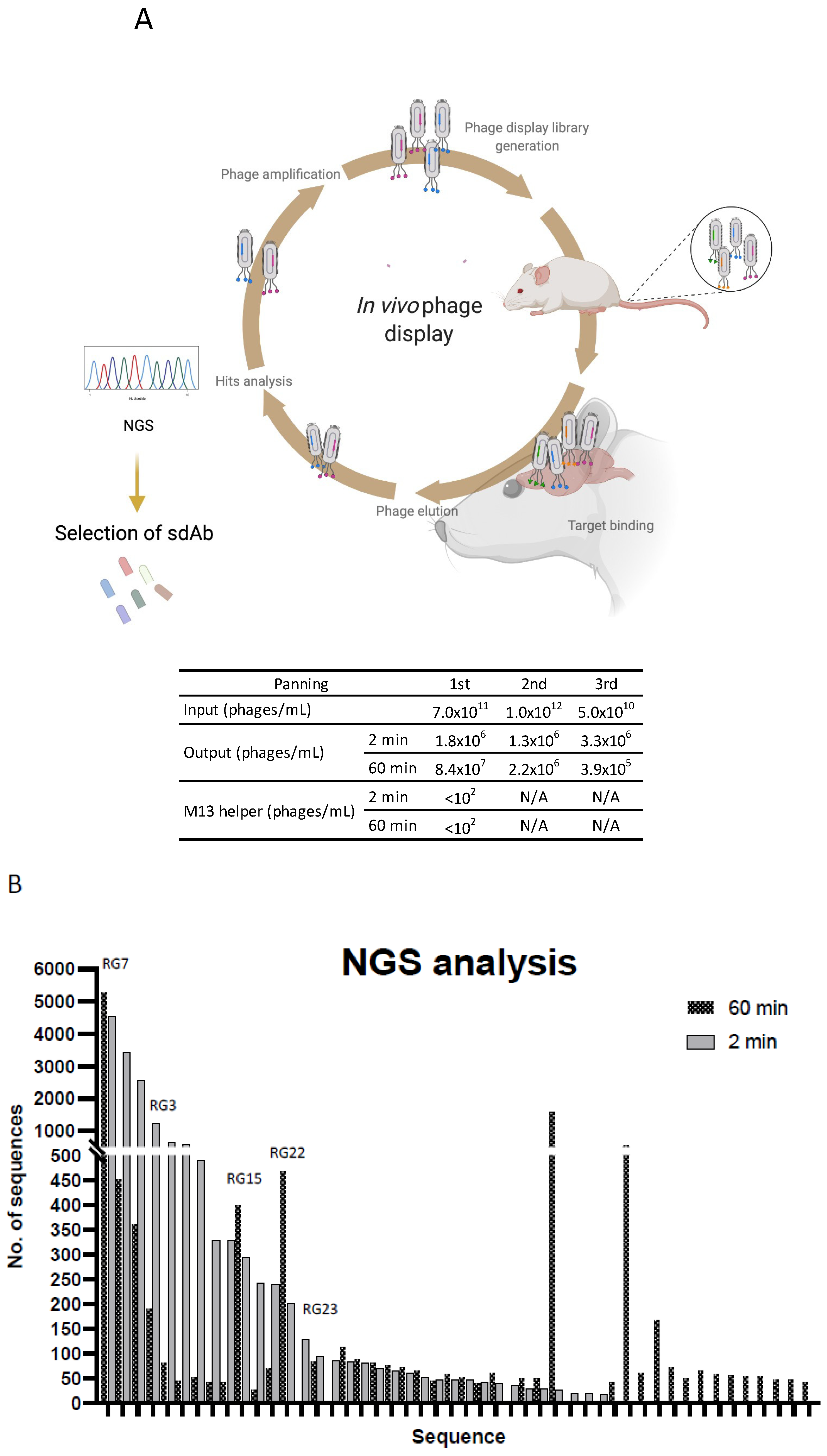 Pharmaceutics 13 01598 g004