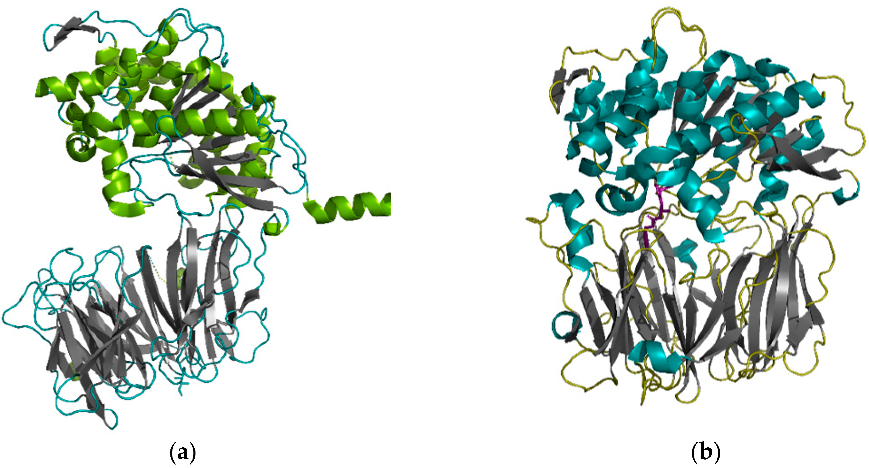 Pharmaceutics 13 01603 g001 550