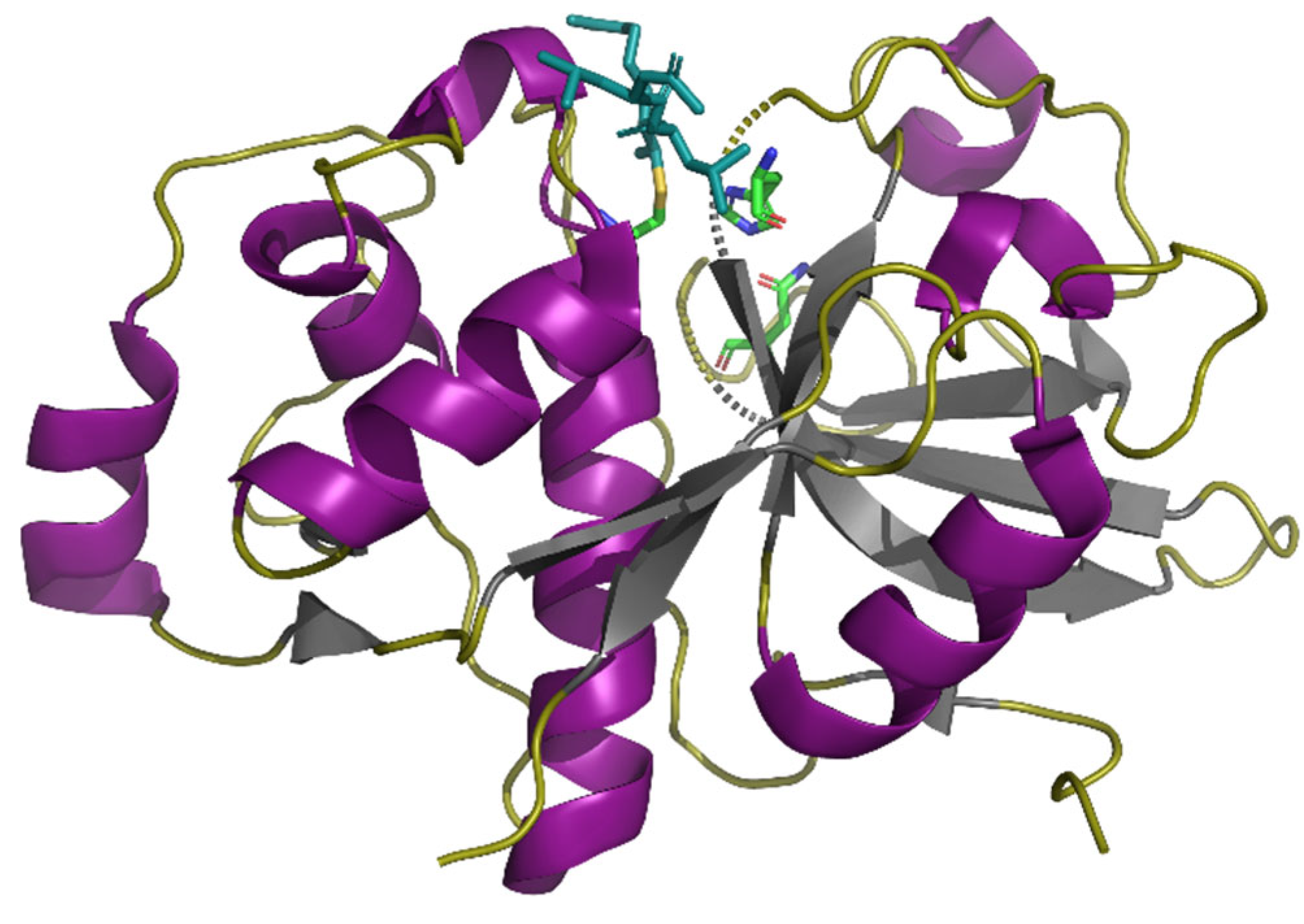 Pharmaceutics 13 01603 g002 550
