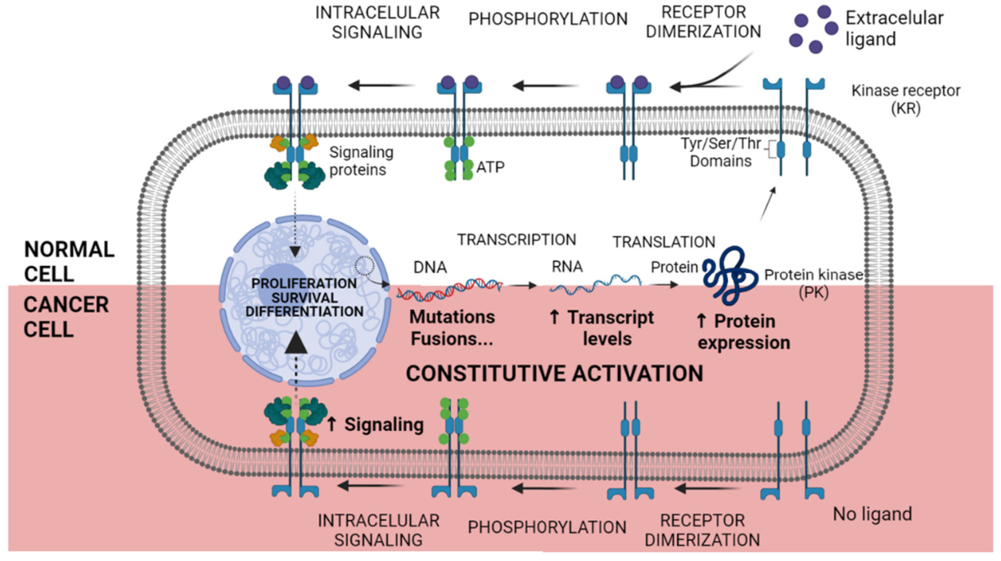 Pharmaceutics 13 01604 g002 Pharmaceutics 13 01604 g002