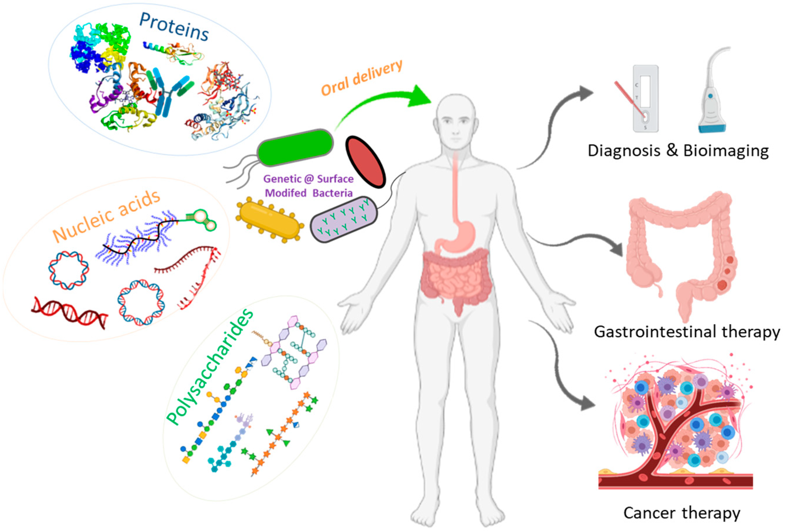 Pharmaceutics 13 01610 g001