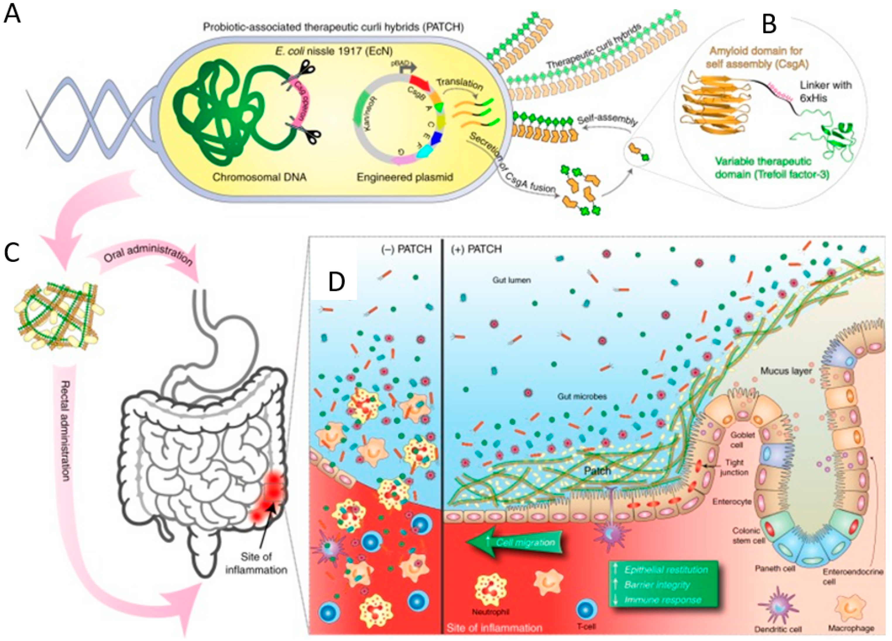 Pharmaceutics 13 01610 g007