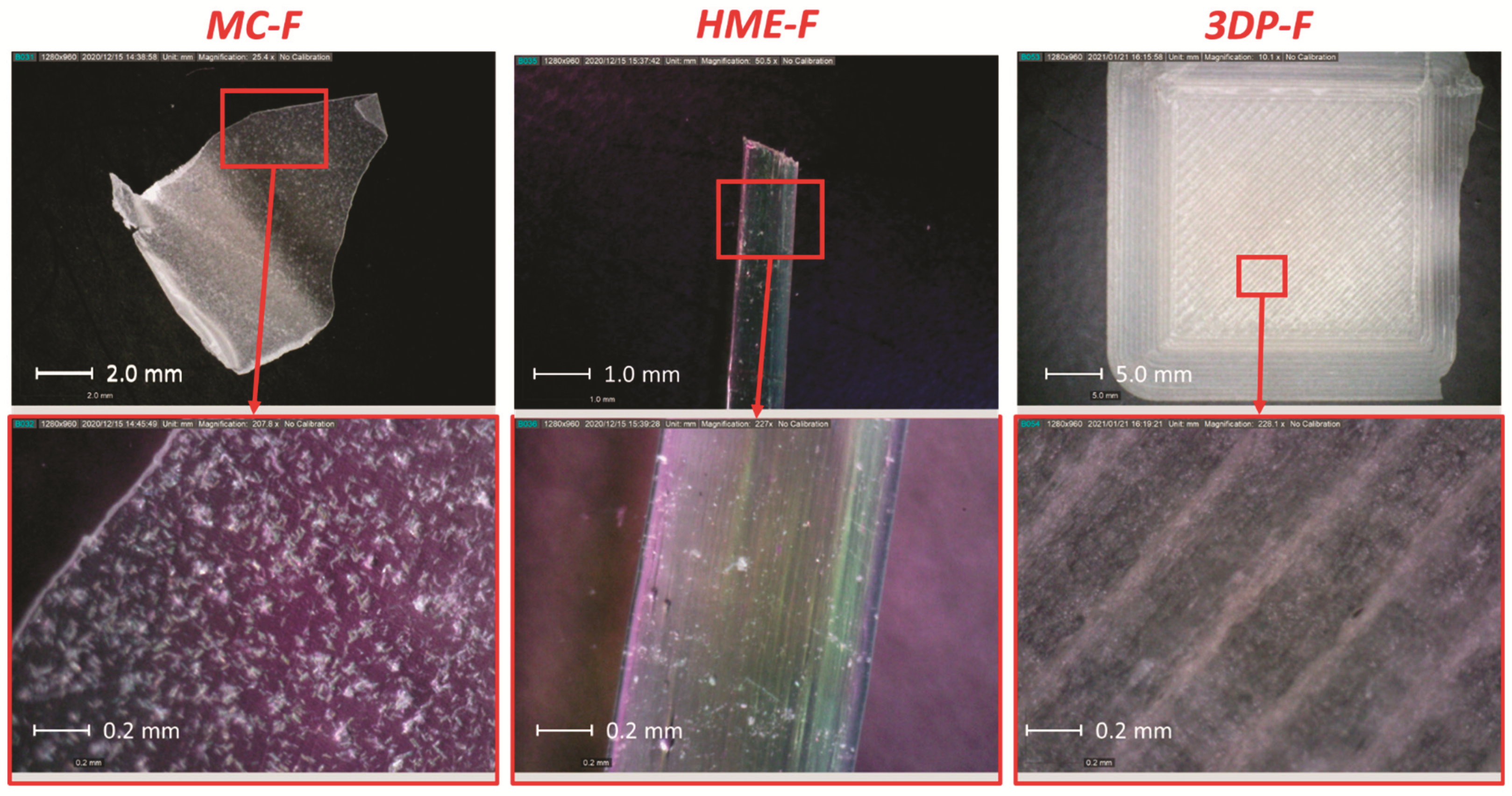 Pharmaceutics 13 01613 g009