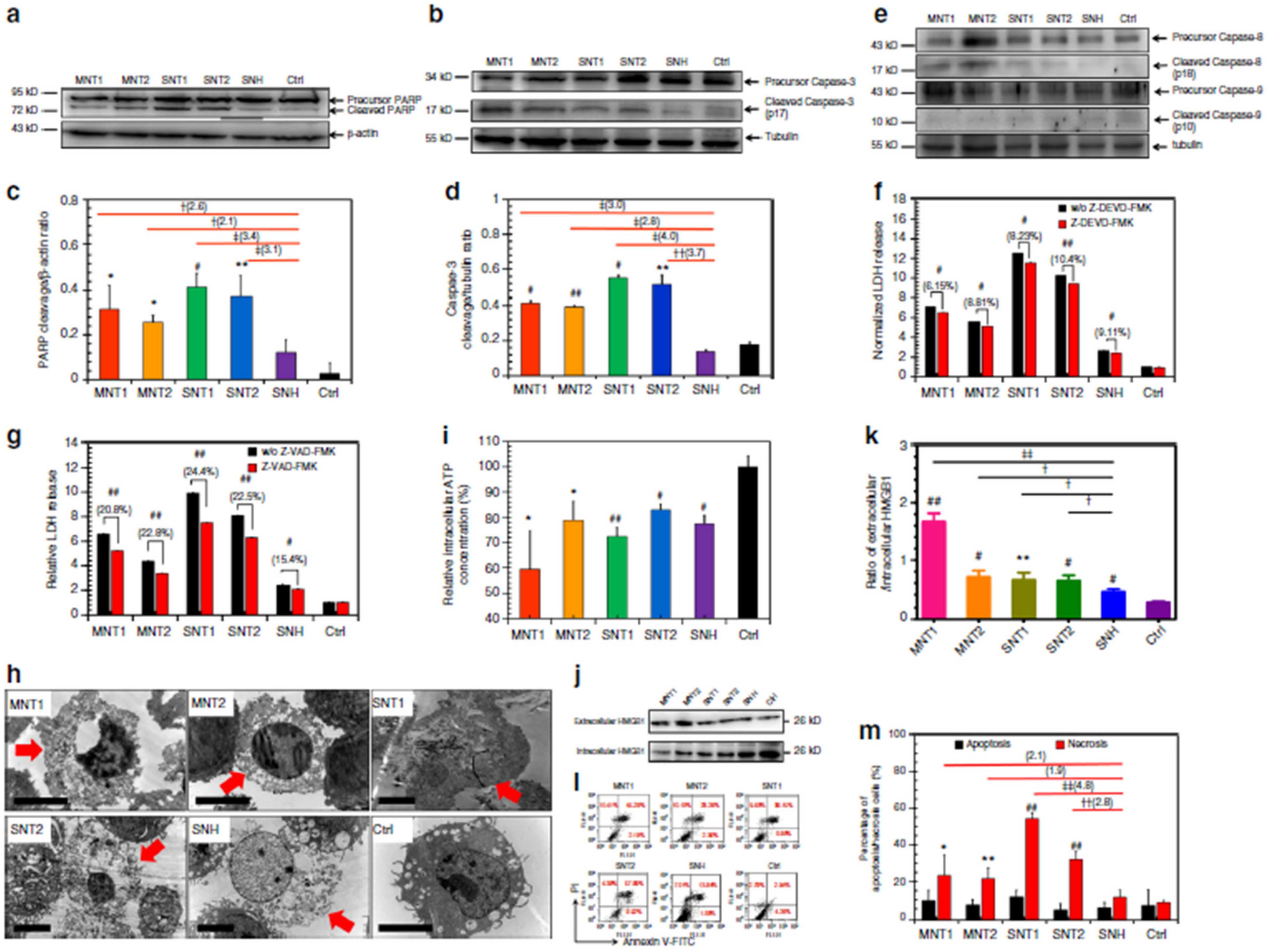 Pharmaceutics 13 01615 g002
