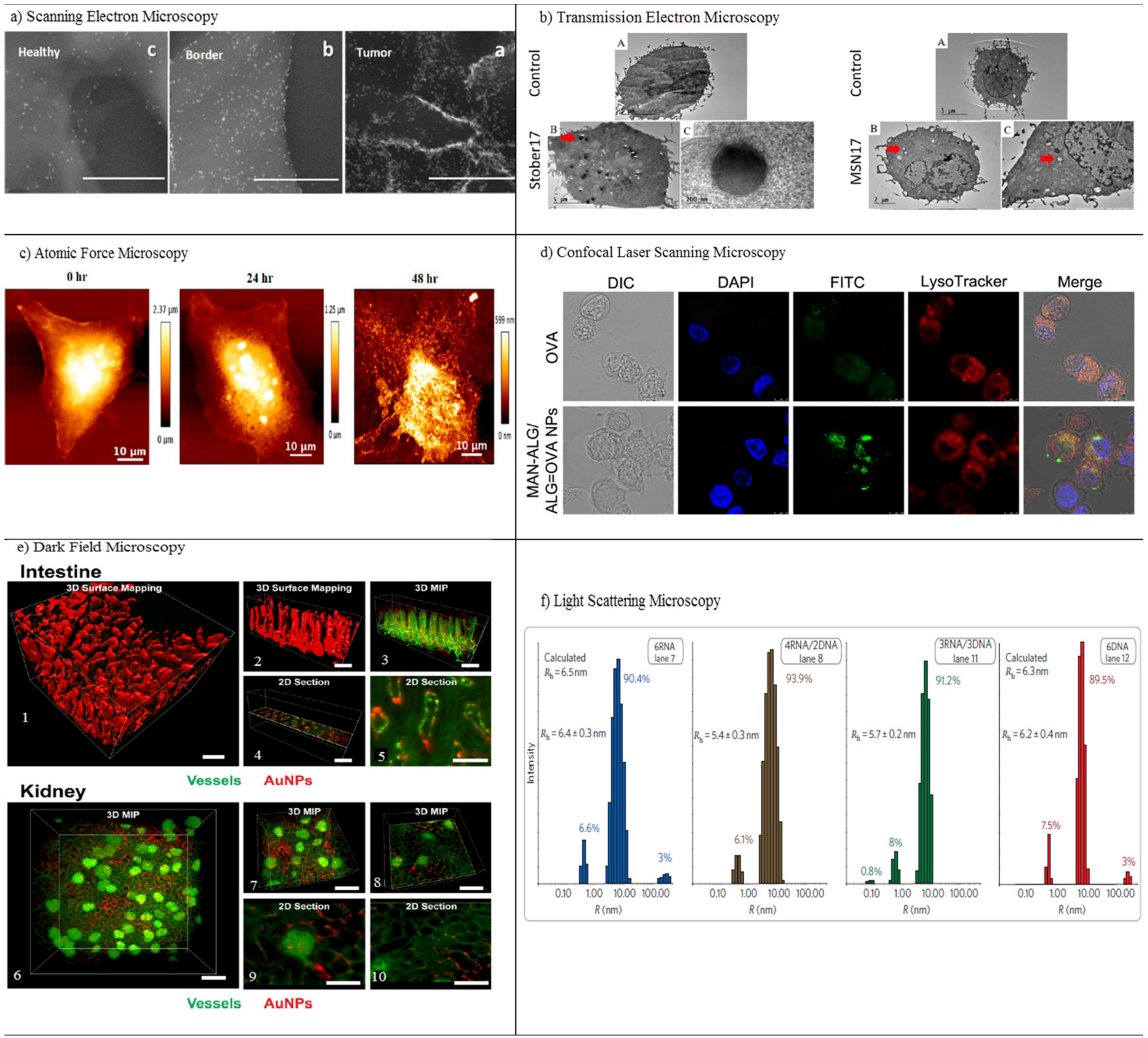 Pharmaceutics 13 01615 g004