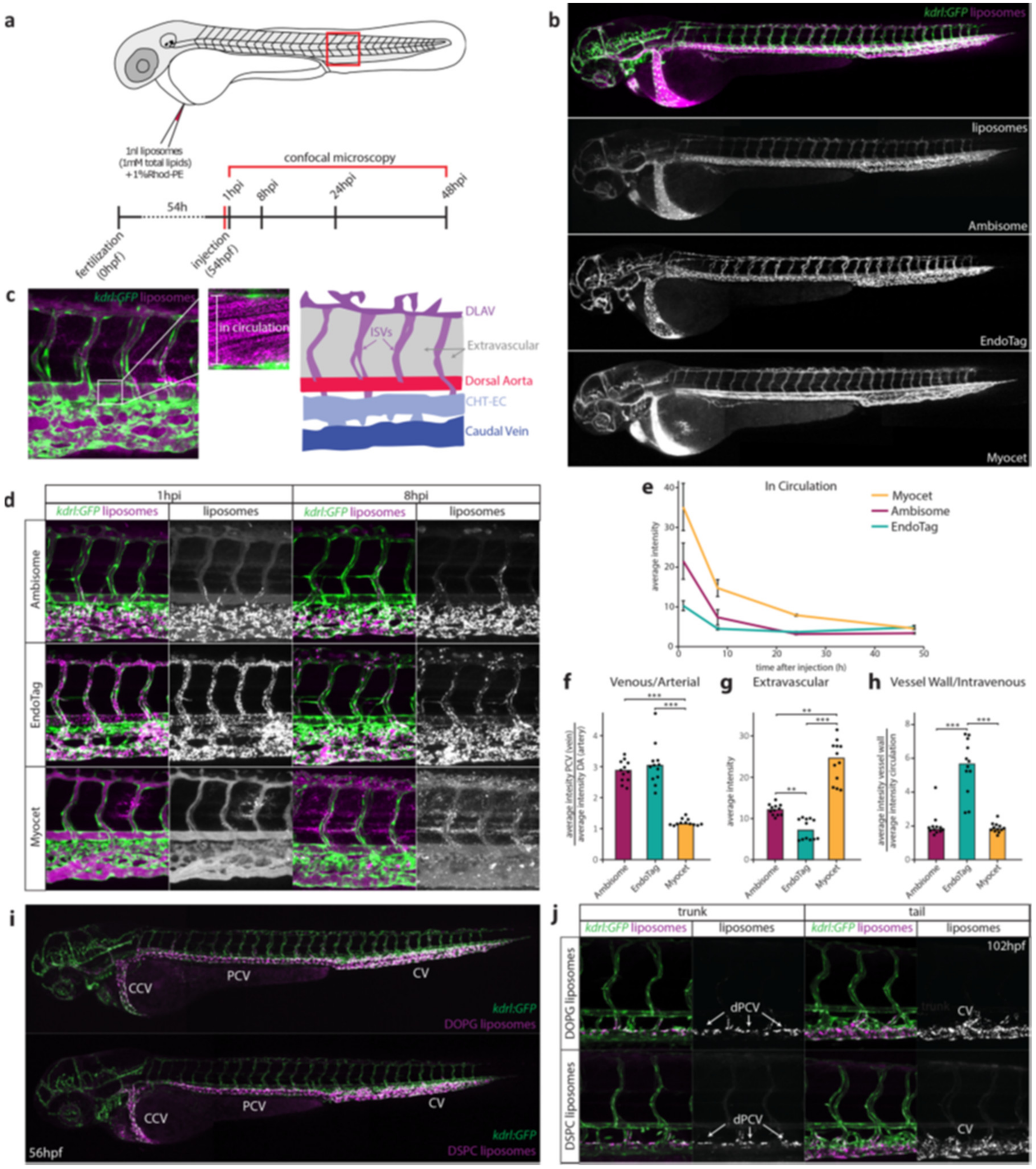 Pharmaceutics 13 01615 g005