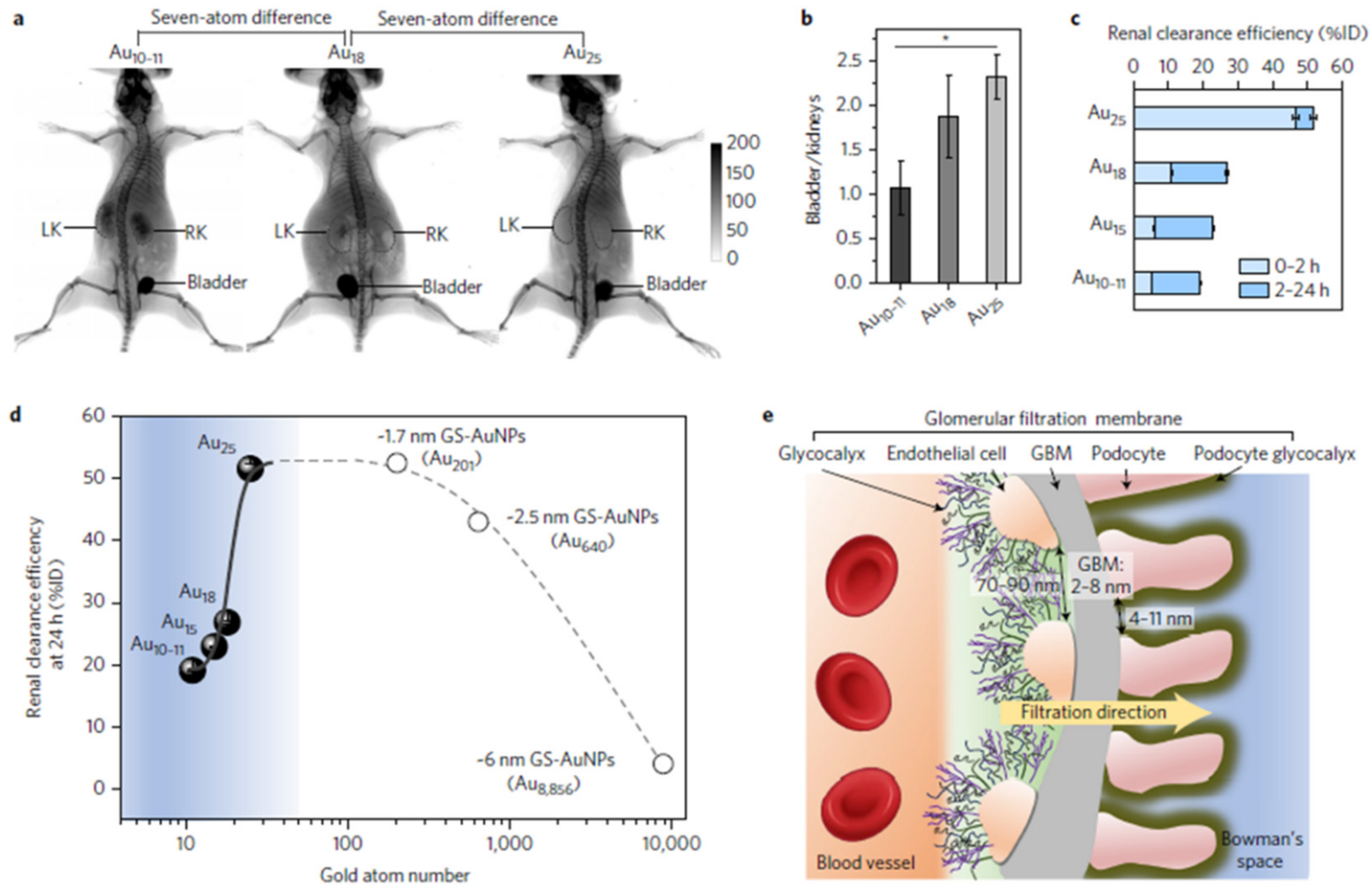 Pharmaceutics 13 01615 g006