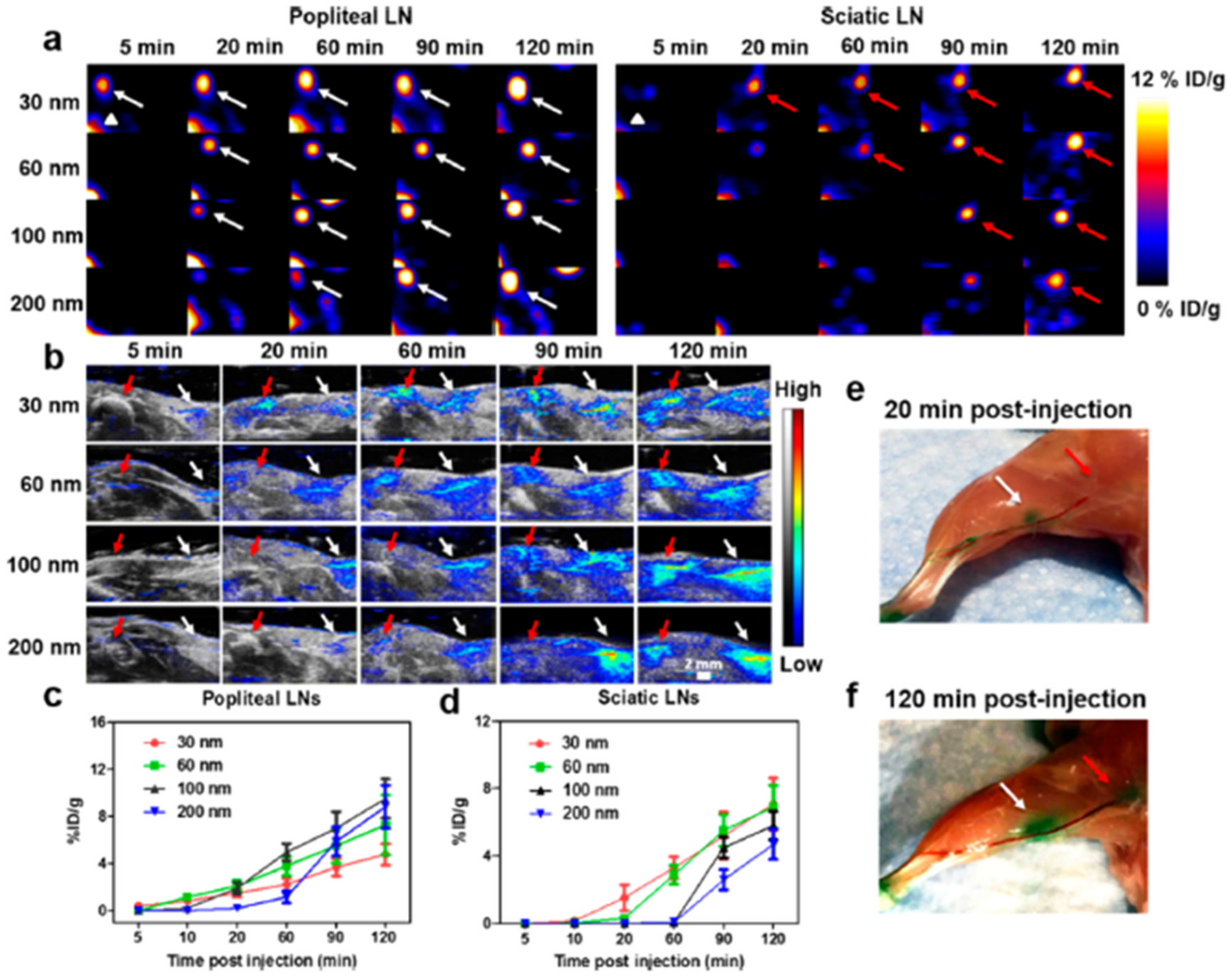 Pharmaceutics 13 01615 g007