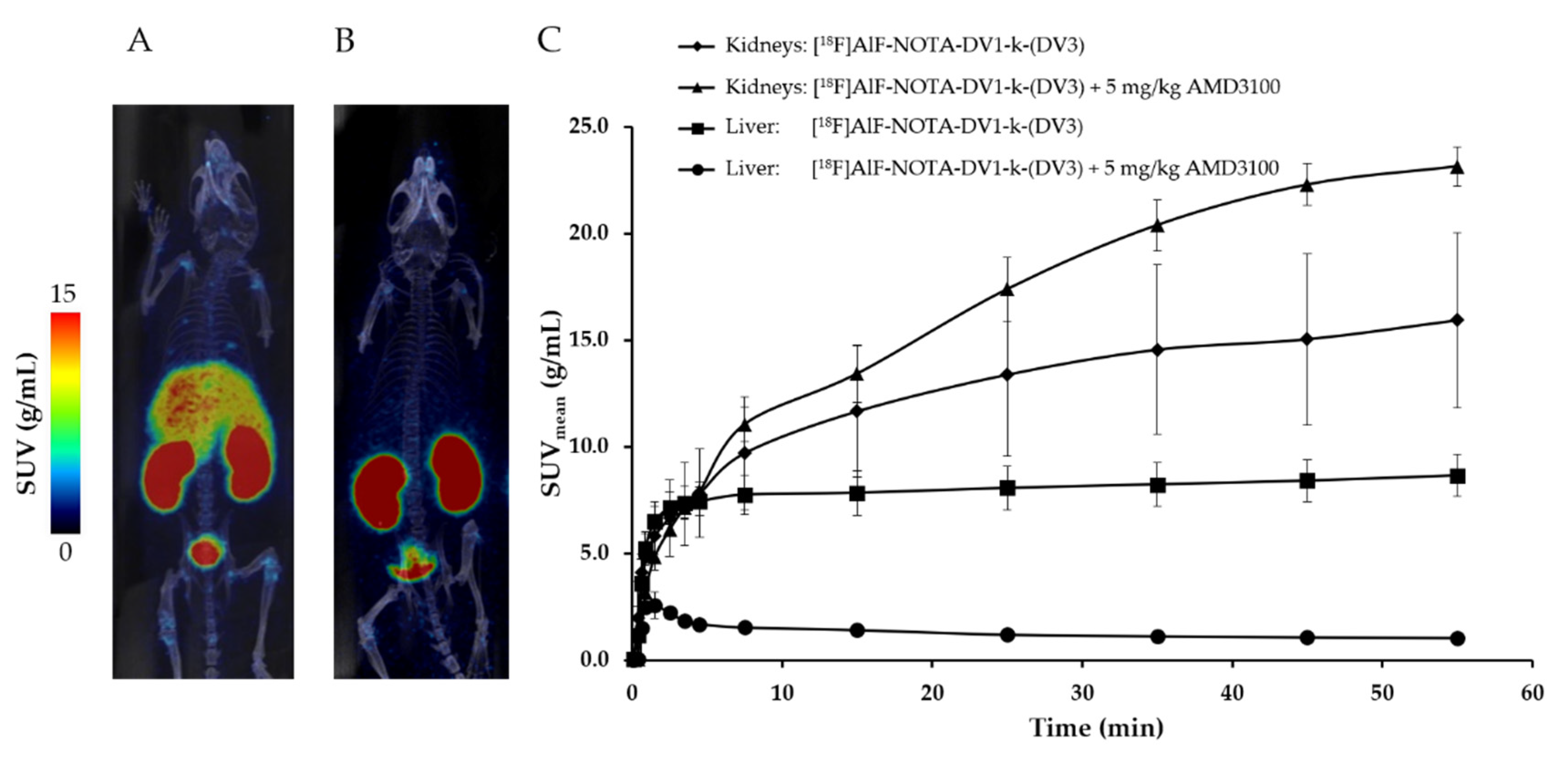 Pharmaceutics 13 01619 g002