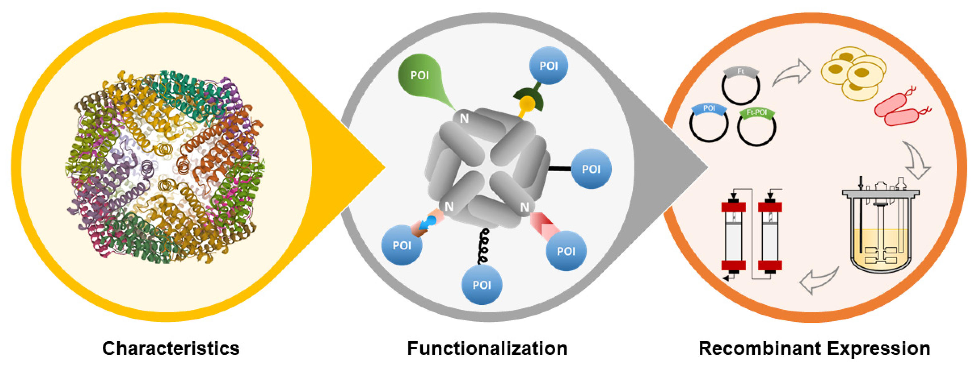 Pharmaceutics 13 01621 g001 Pharmaceutics 13 01621 g001
