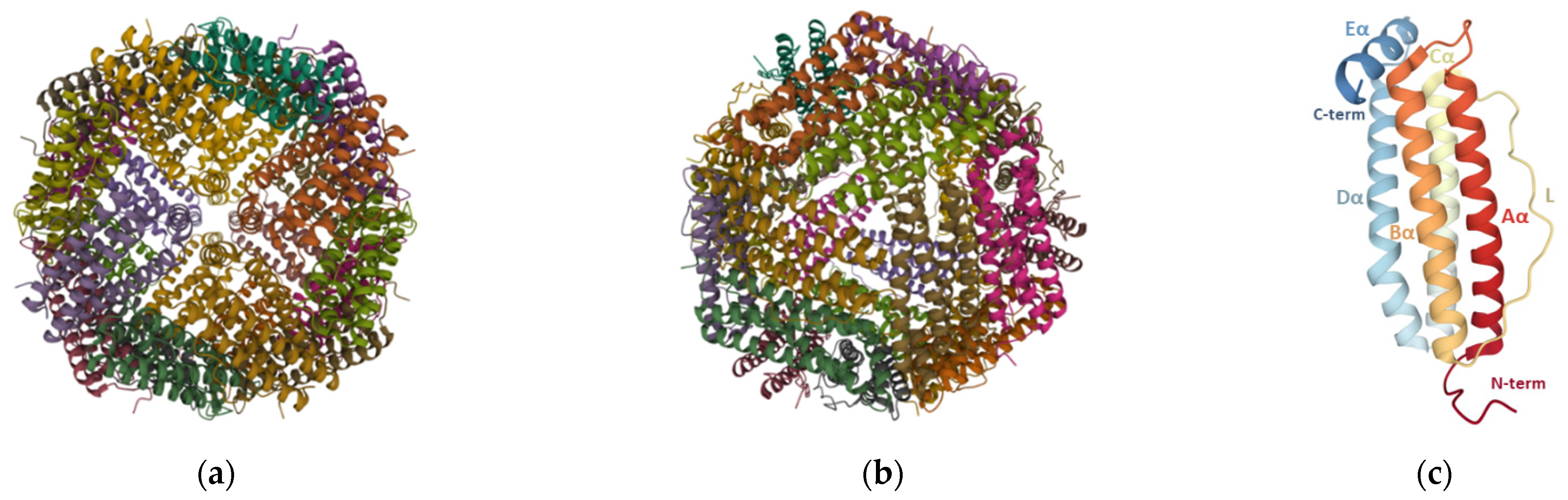 Pharmaceutics 13 01621 g002 Pharmaceutics 13 01621 g002