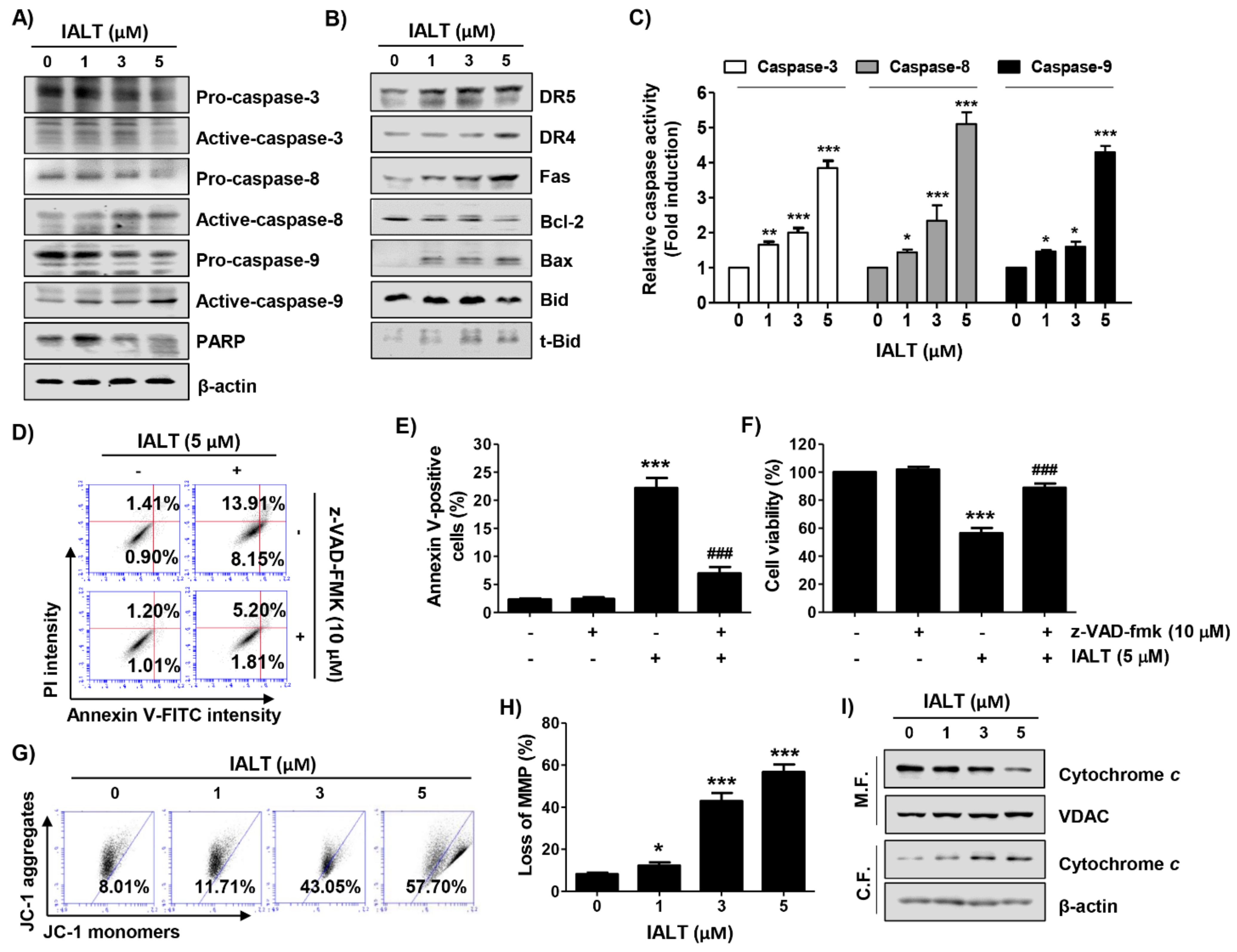 Pharmaceutics 13 01627 g002