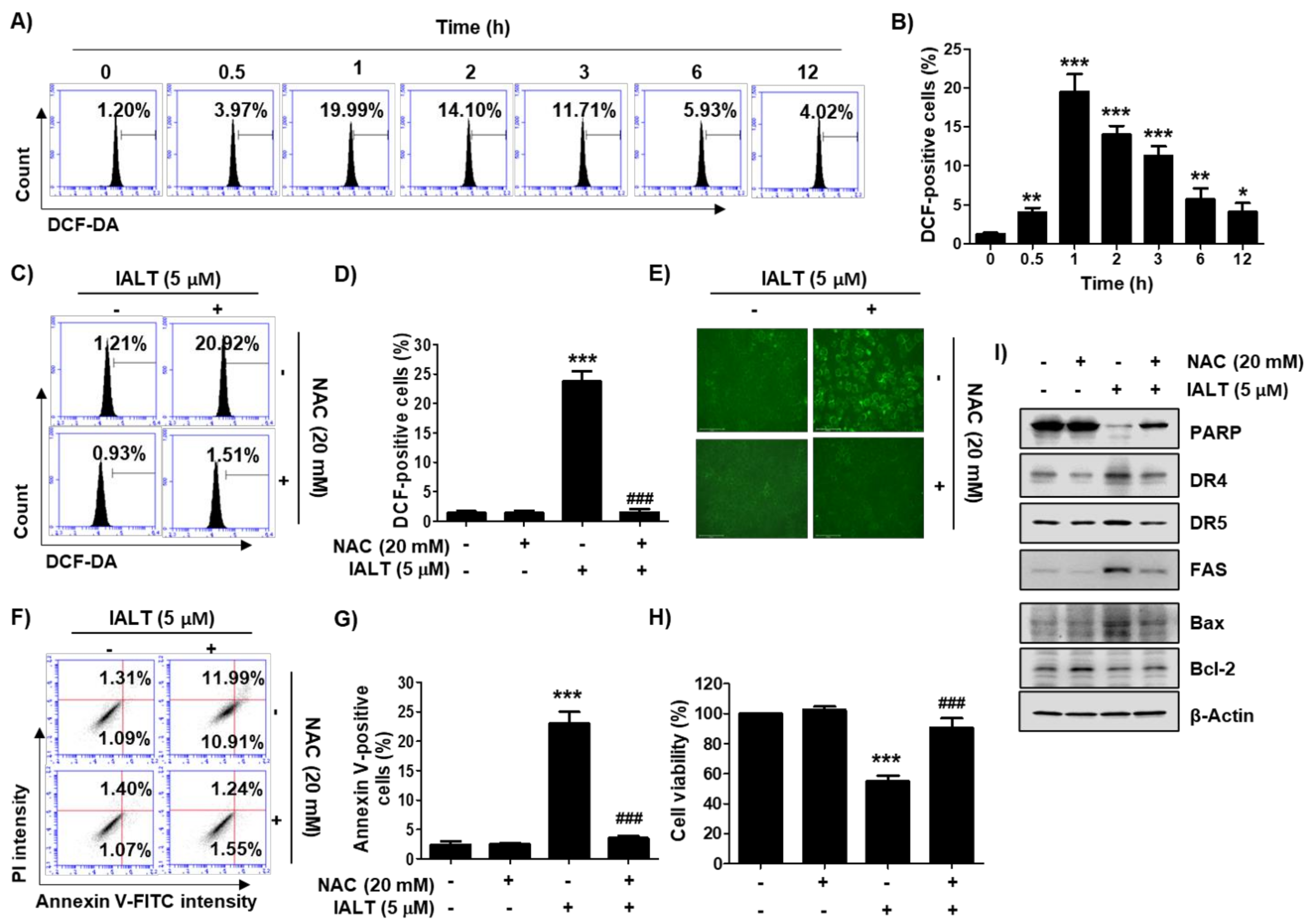 Pharmaceutics 13 01627 g003
