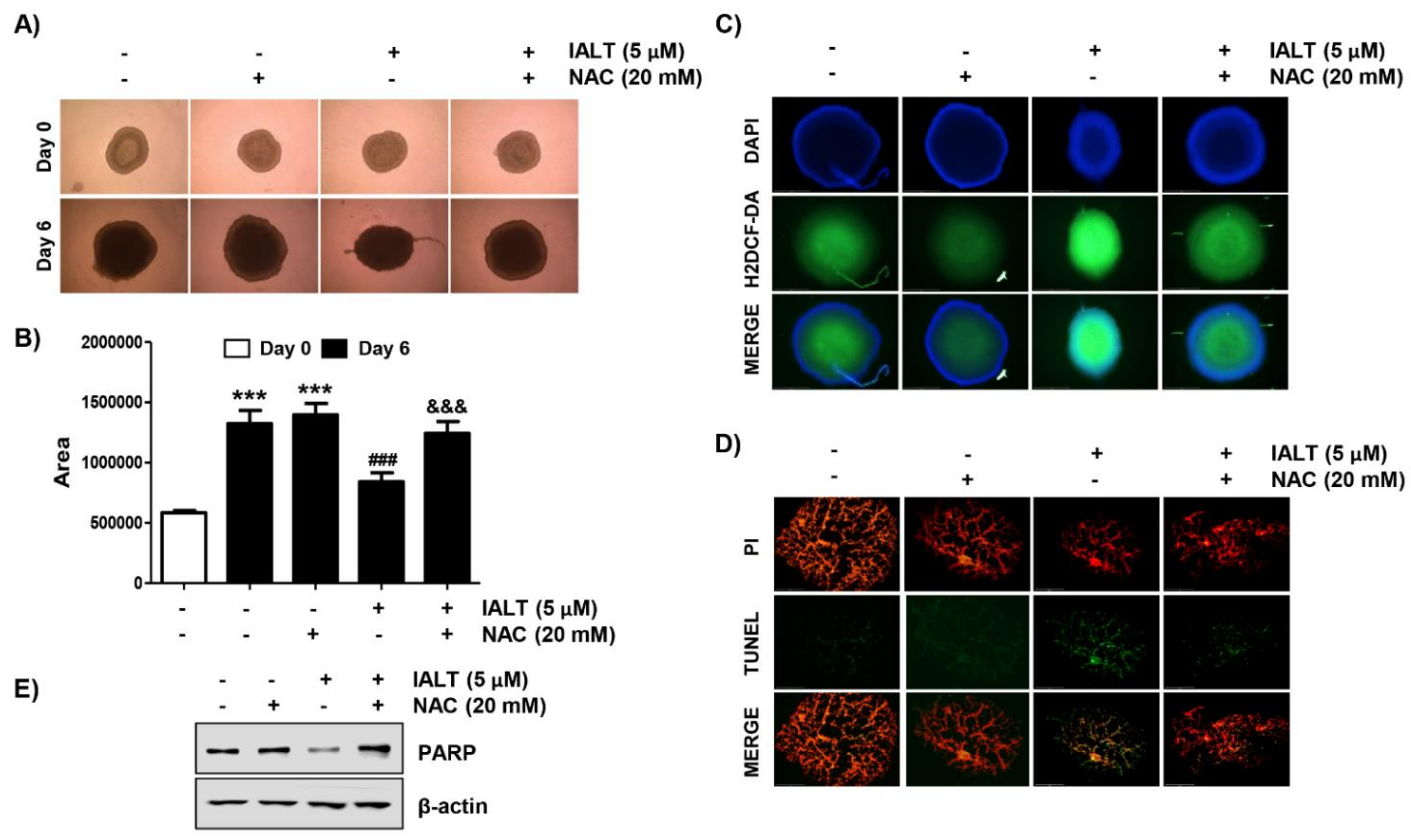 Pharmaceutics 13 01627 g005