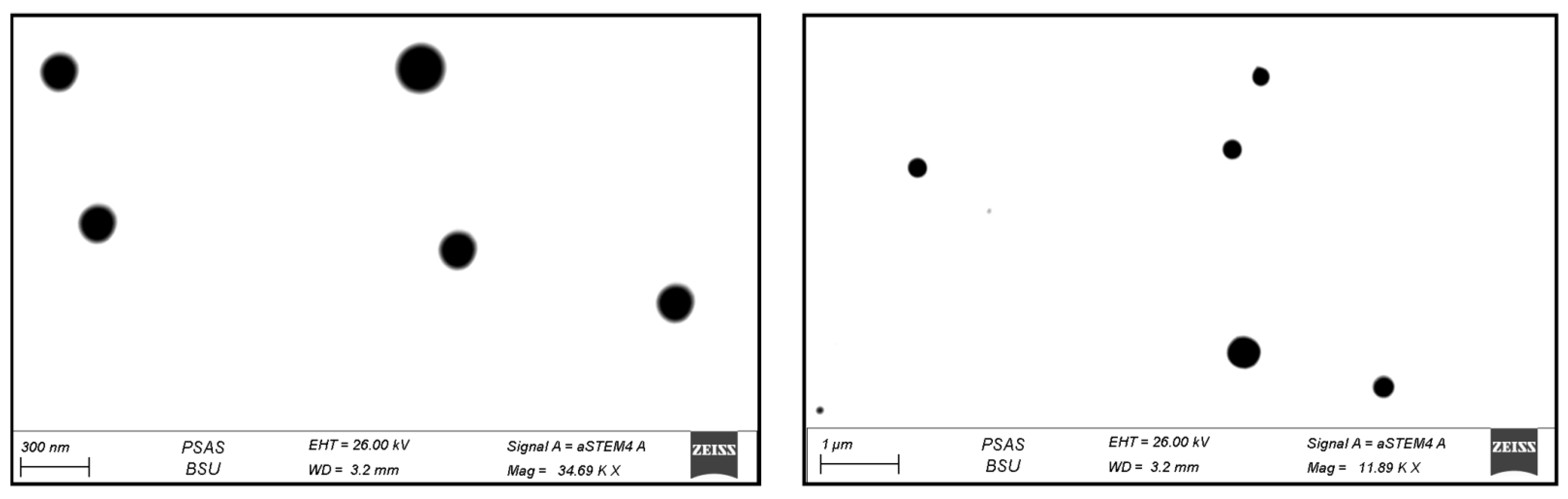 Pharmaceutics 13 01633 g004