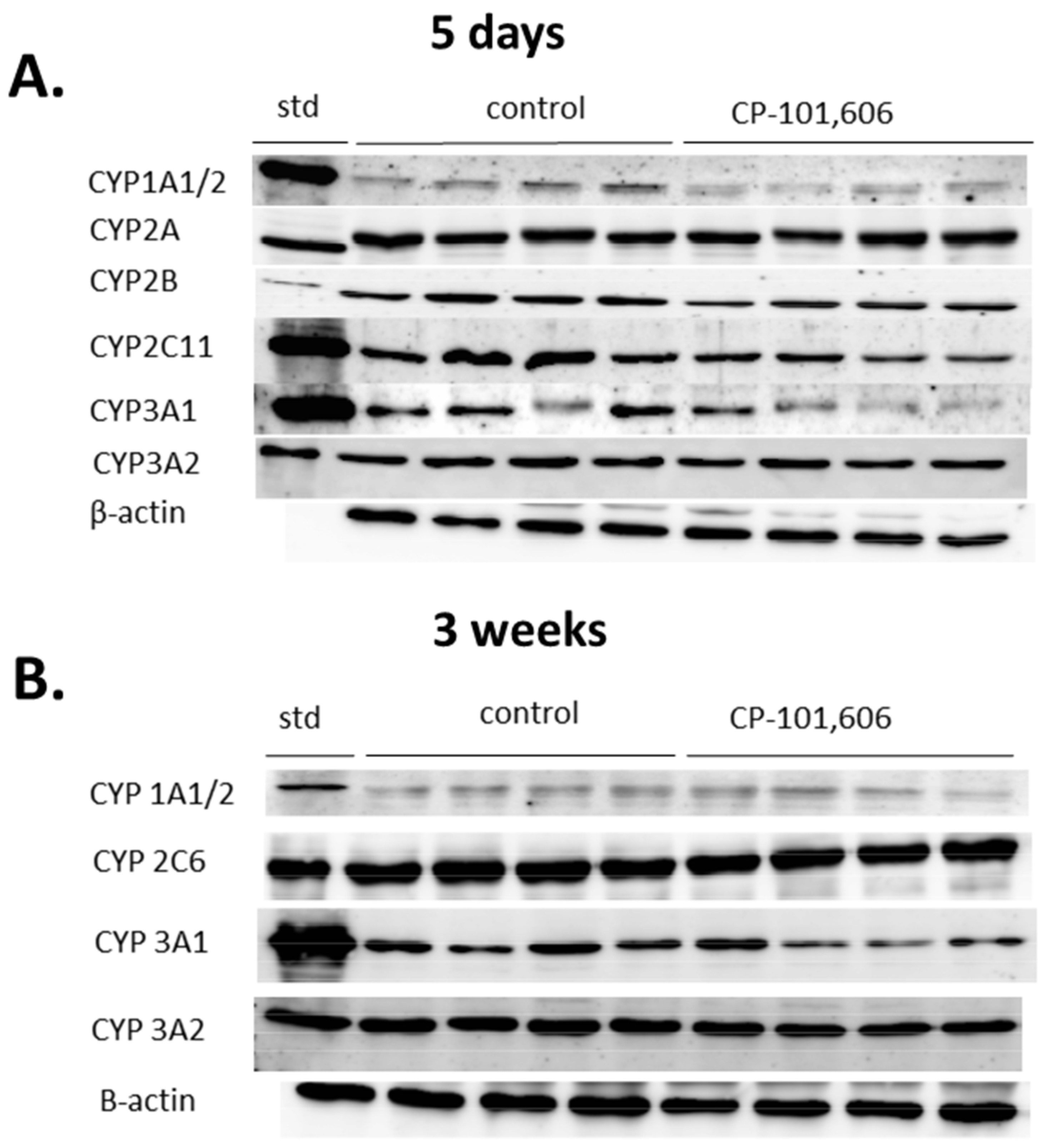 Pharmaceutics 13 01643 g007 550