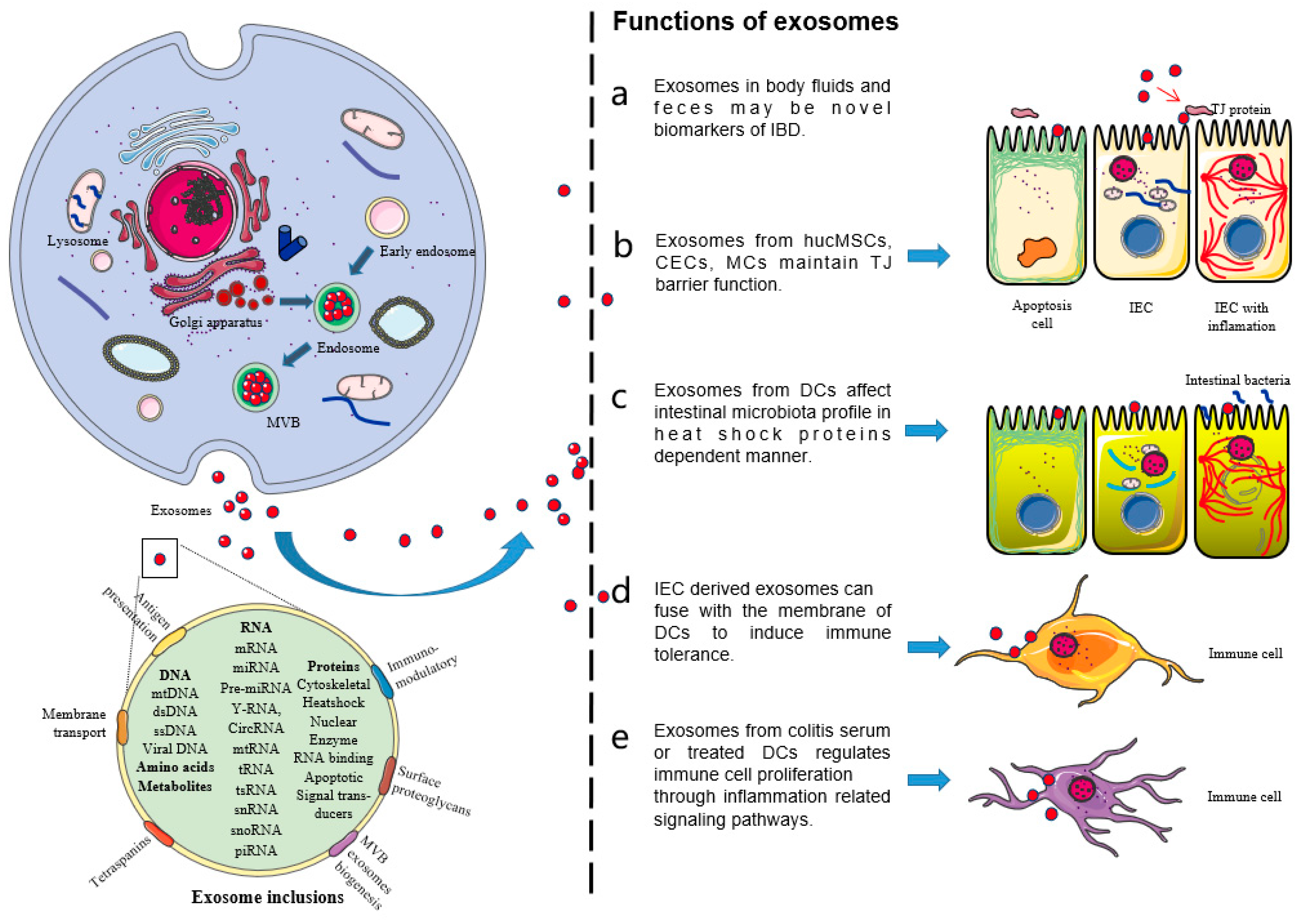 Pharmaceutics 13 01644 g001