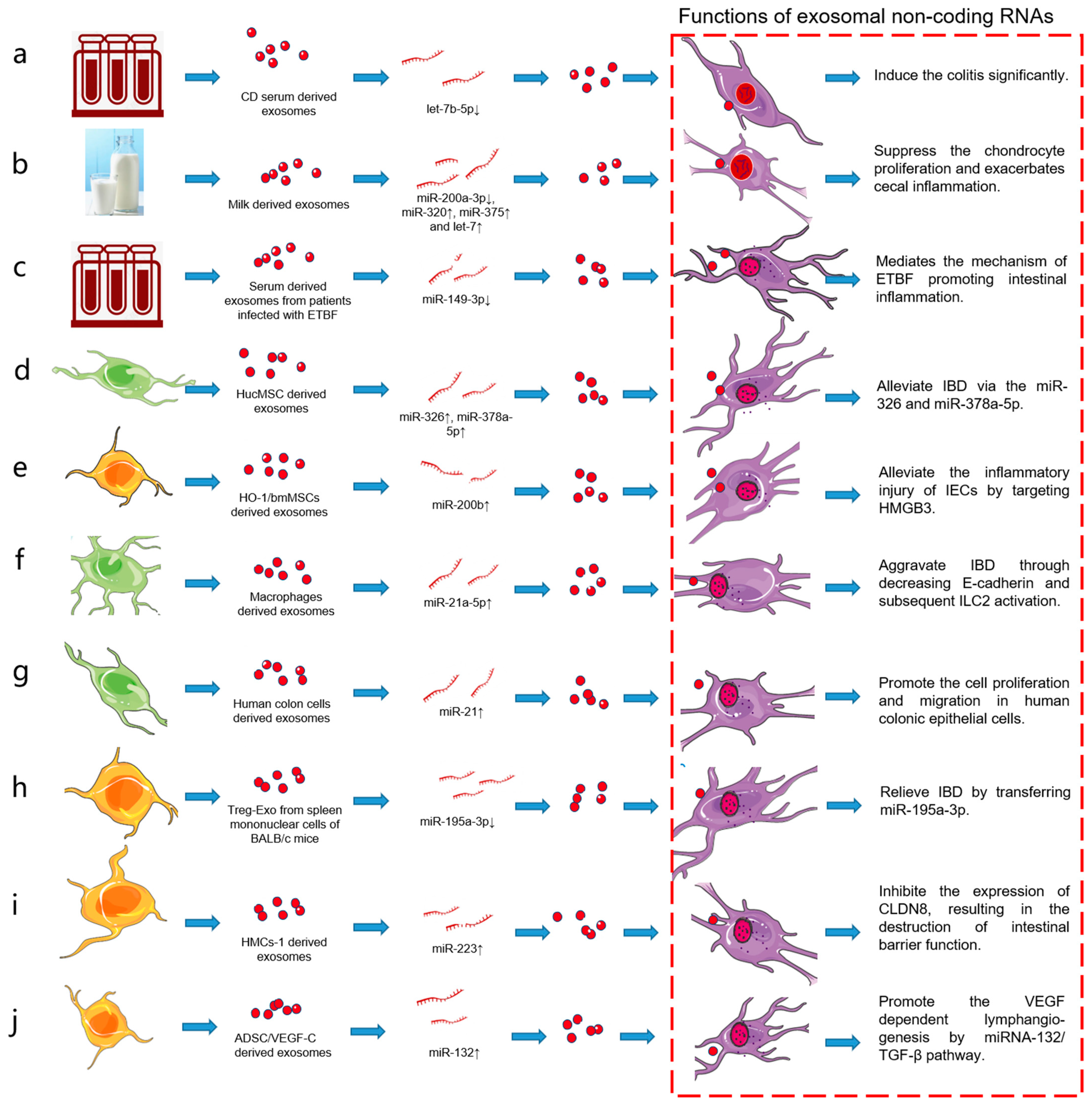 Pharmaceutics 13 01644 g002
