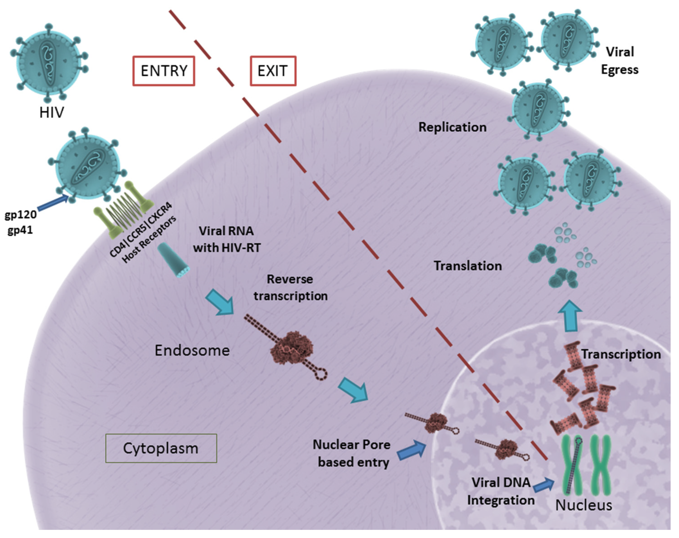 Pharmaceutics 13 01646 g001